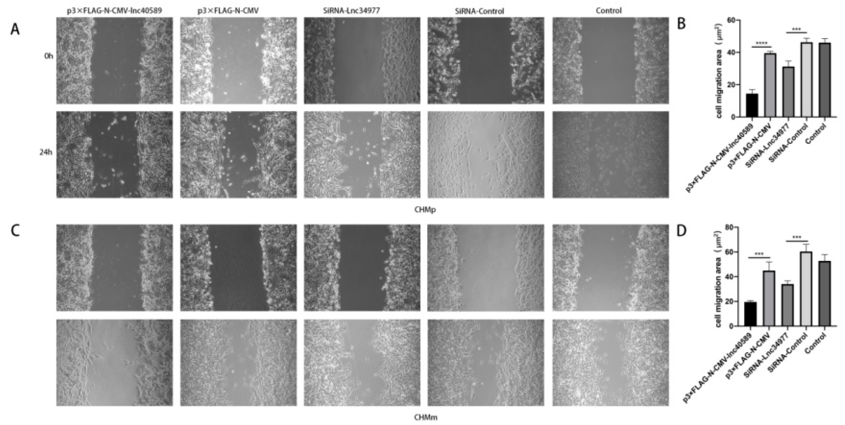 Vetsci 09 00082 g009