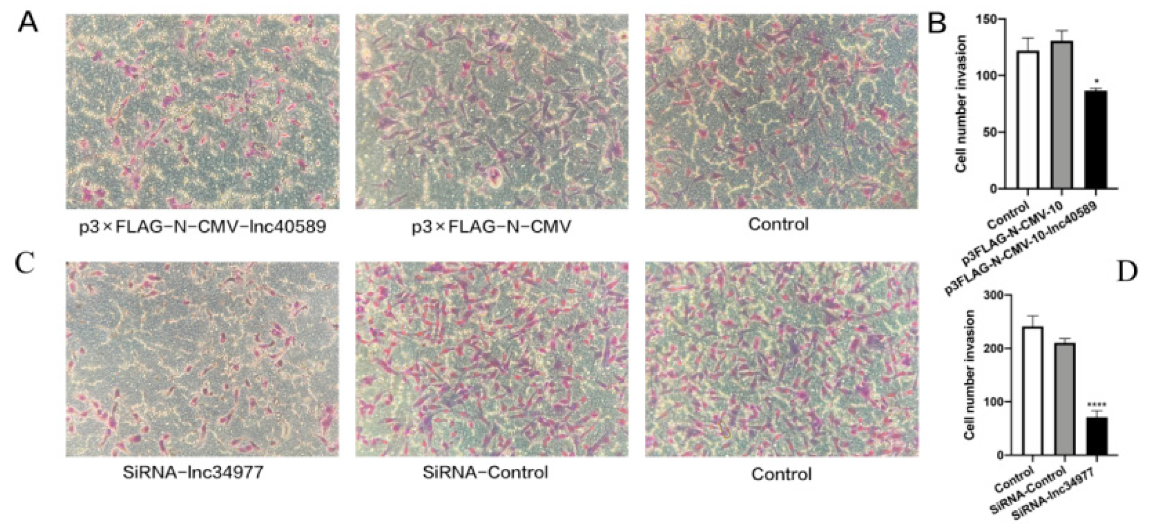 Vetsci 09 00082 g010