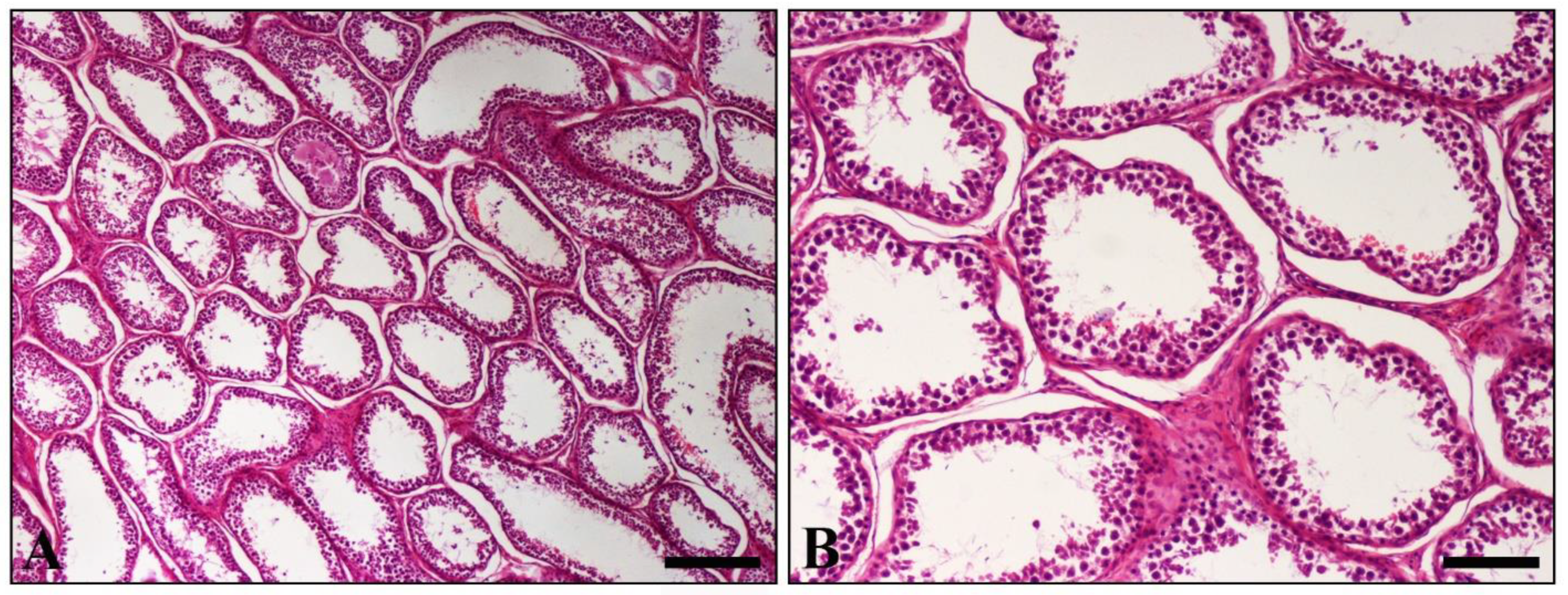 Vetsci 09 00086 g003