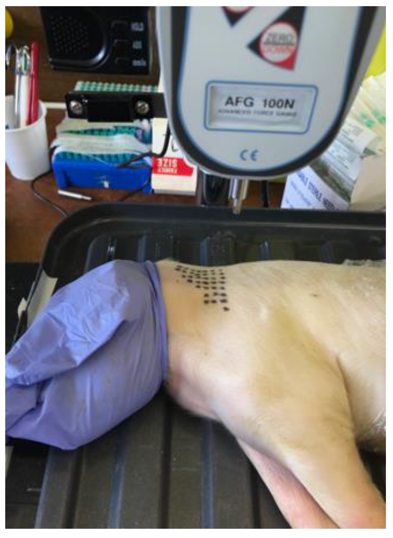 Vetsci 09 00090 g002 Vetsci 09 00090 g002