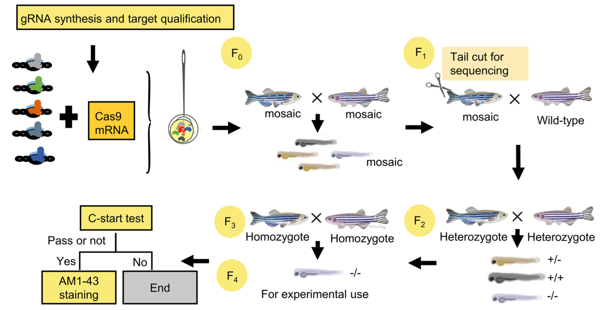 Vetsci 09 00092 g002