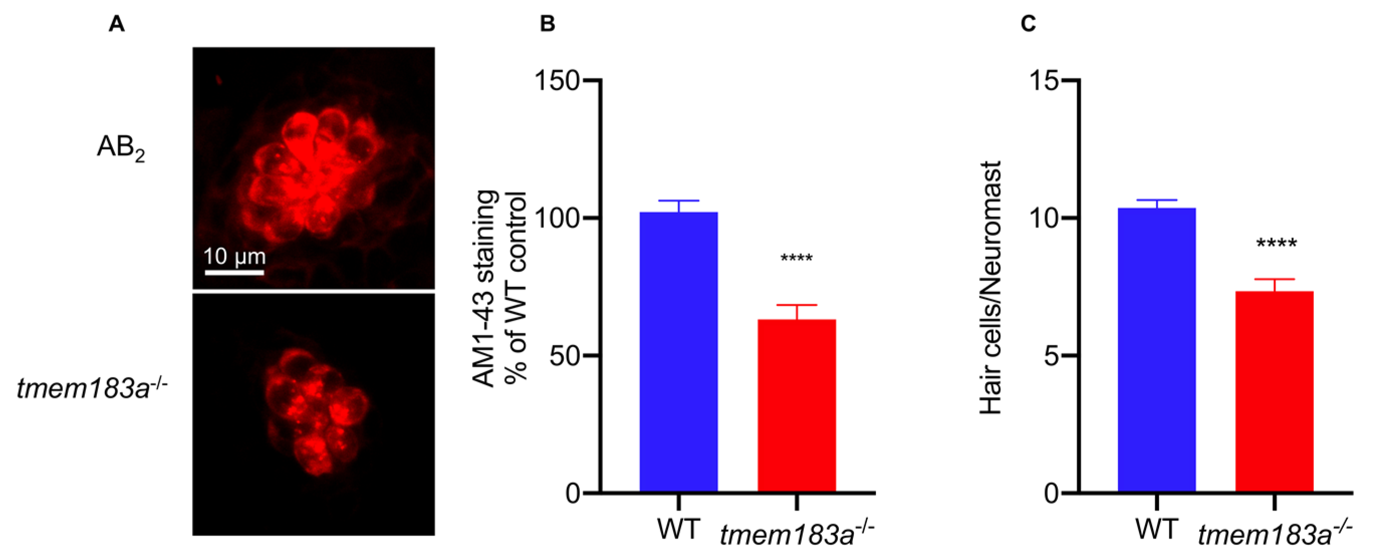 Vetsci 09 00092 g005