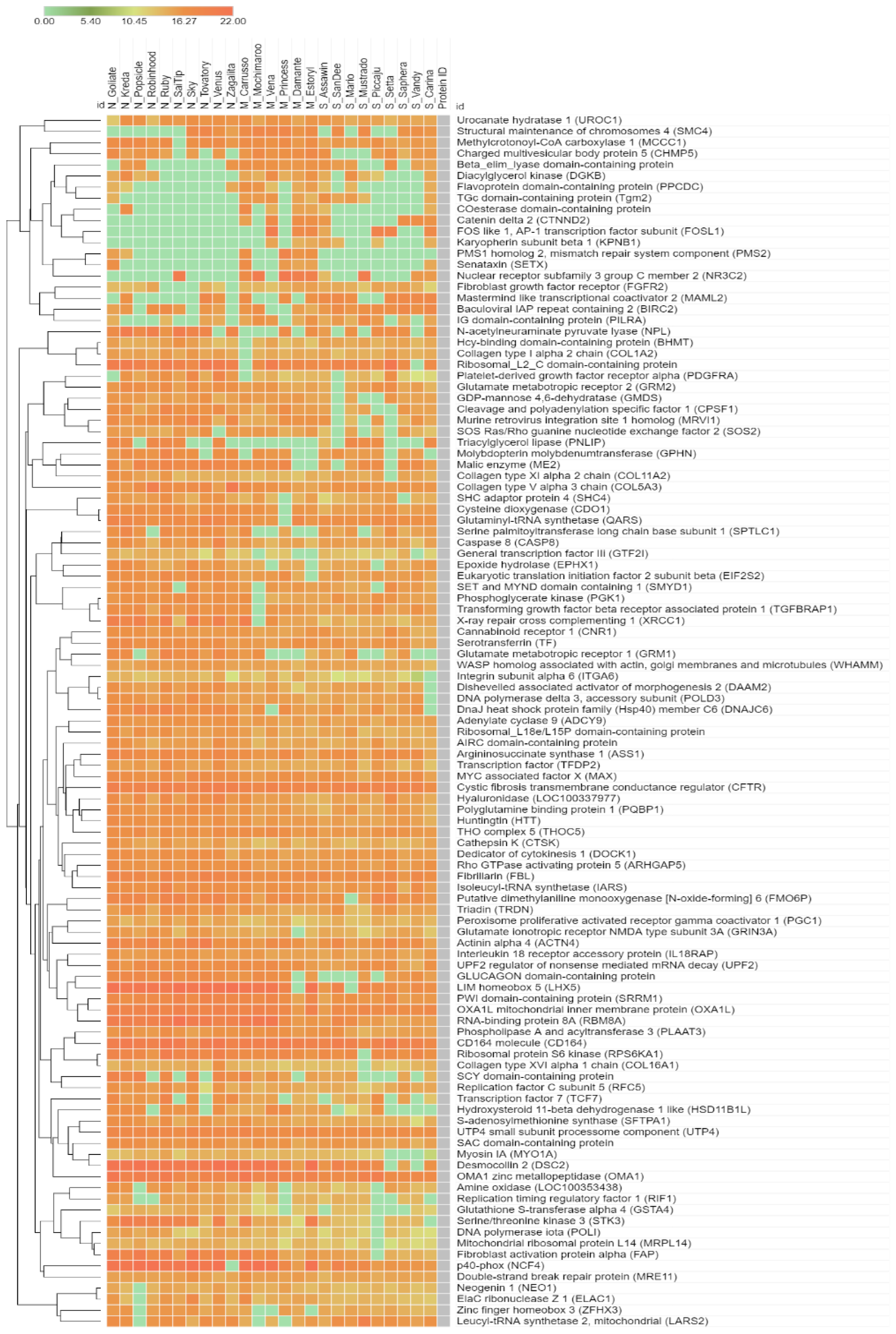 Vetsci 09 00094 g002