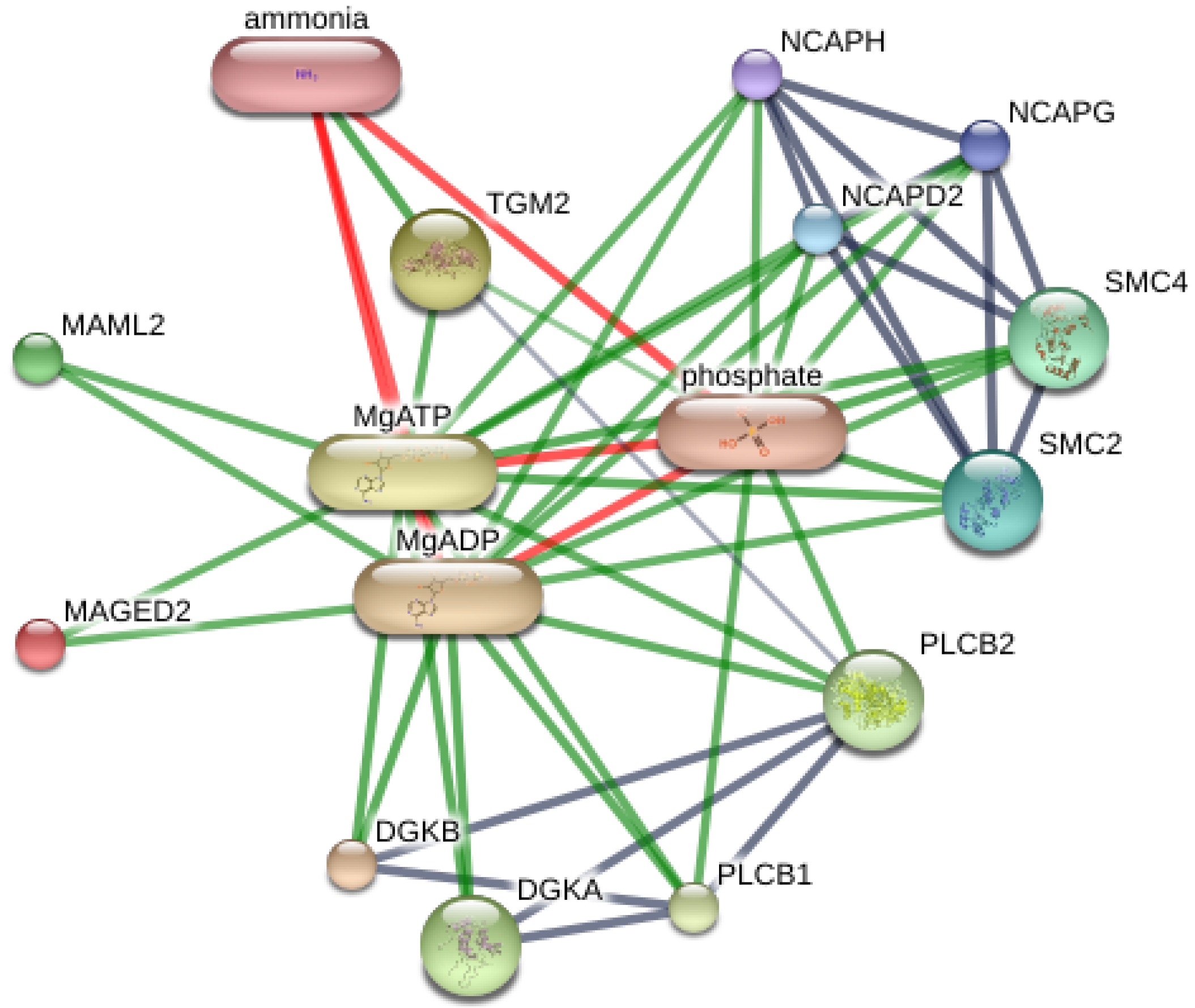 Vetsci 09 00094 g003
