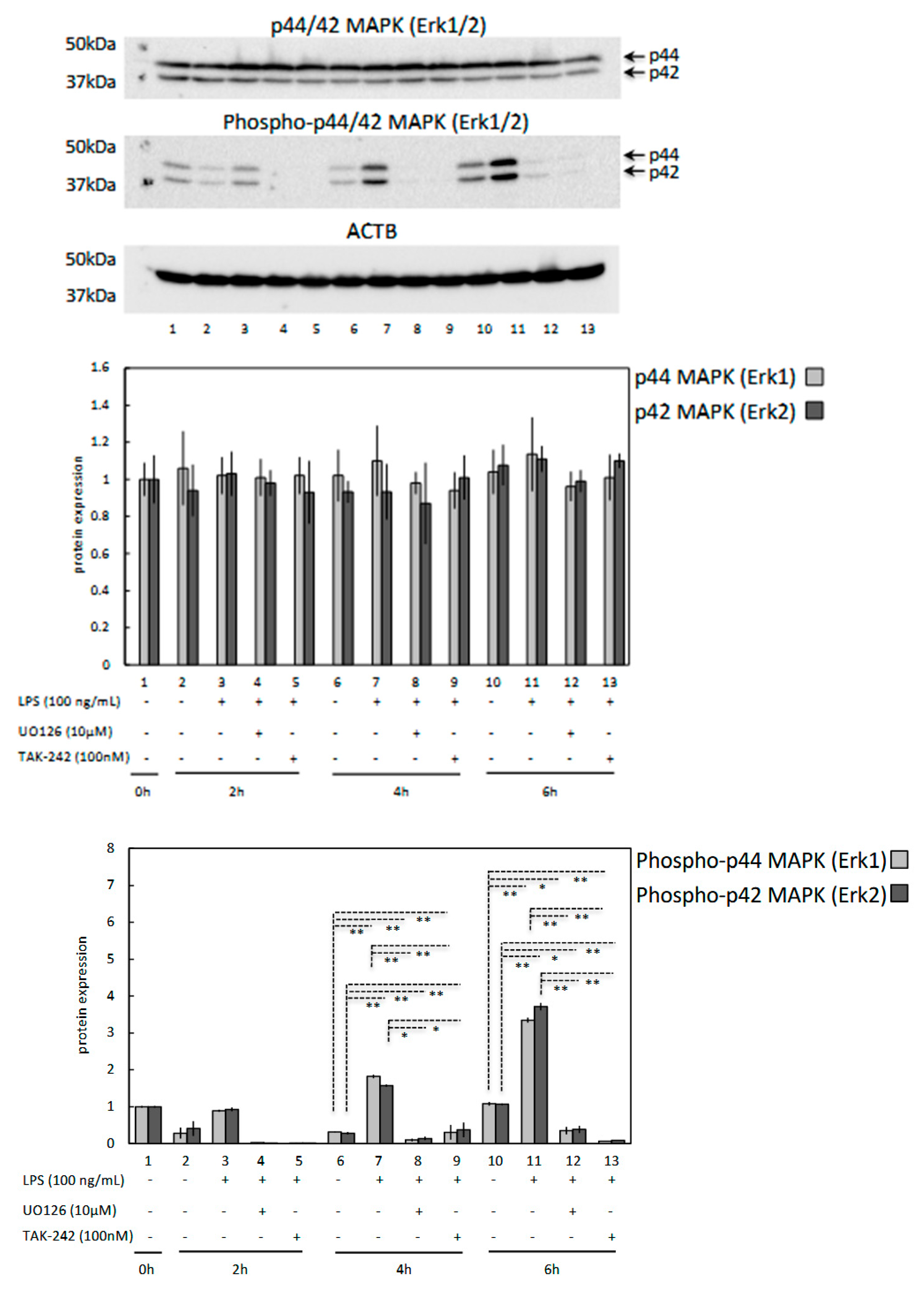 Vetsci 09 00099 g007