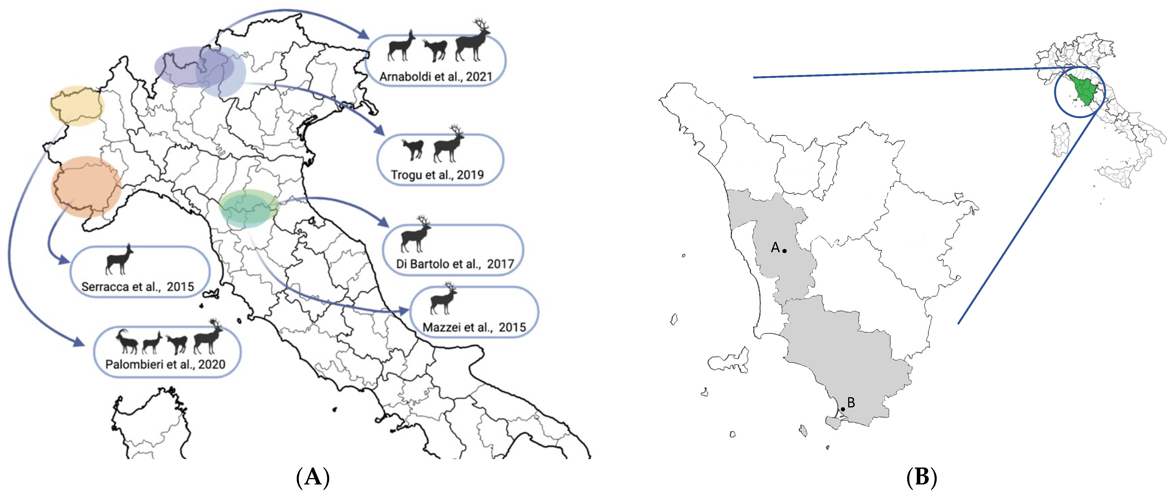 Vetsci 09 00100 g001
