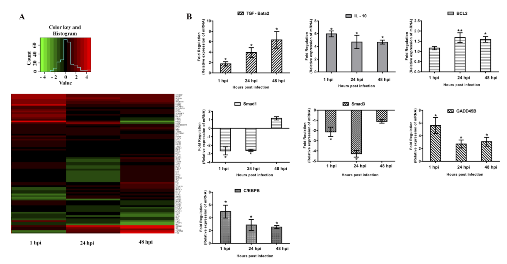 Vetsci 09 00101 g002 Vetsci 09 00101 g002