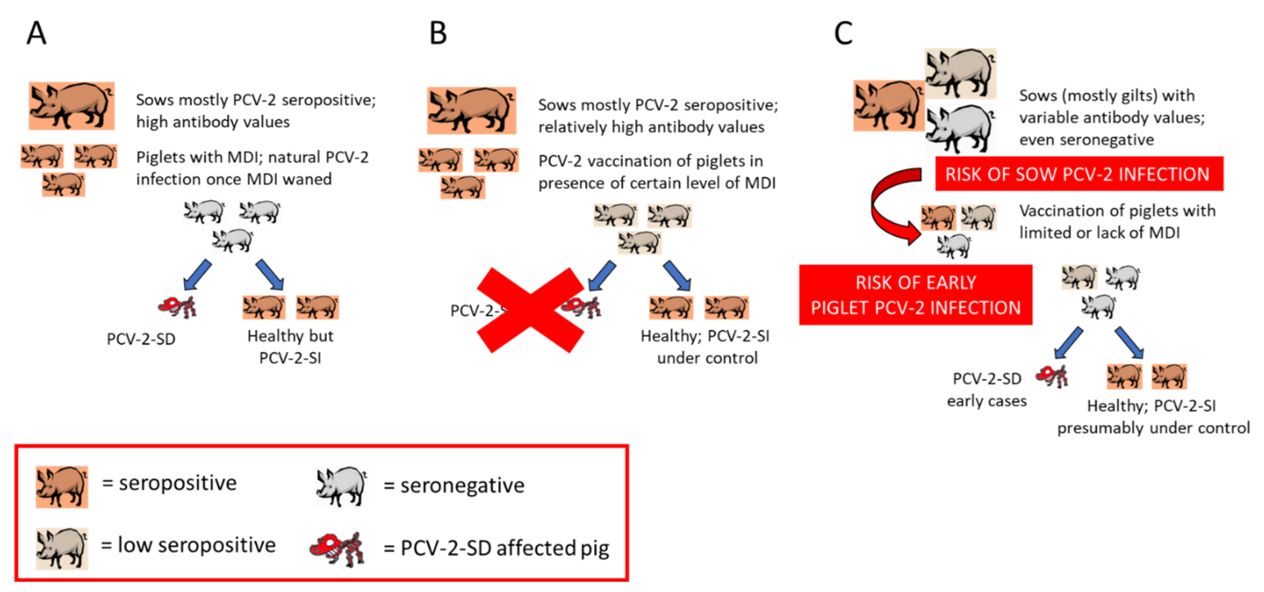 Vetsci 09 00110 g001