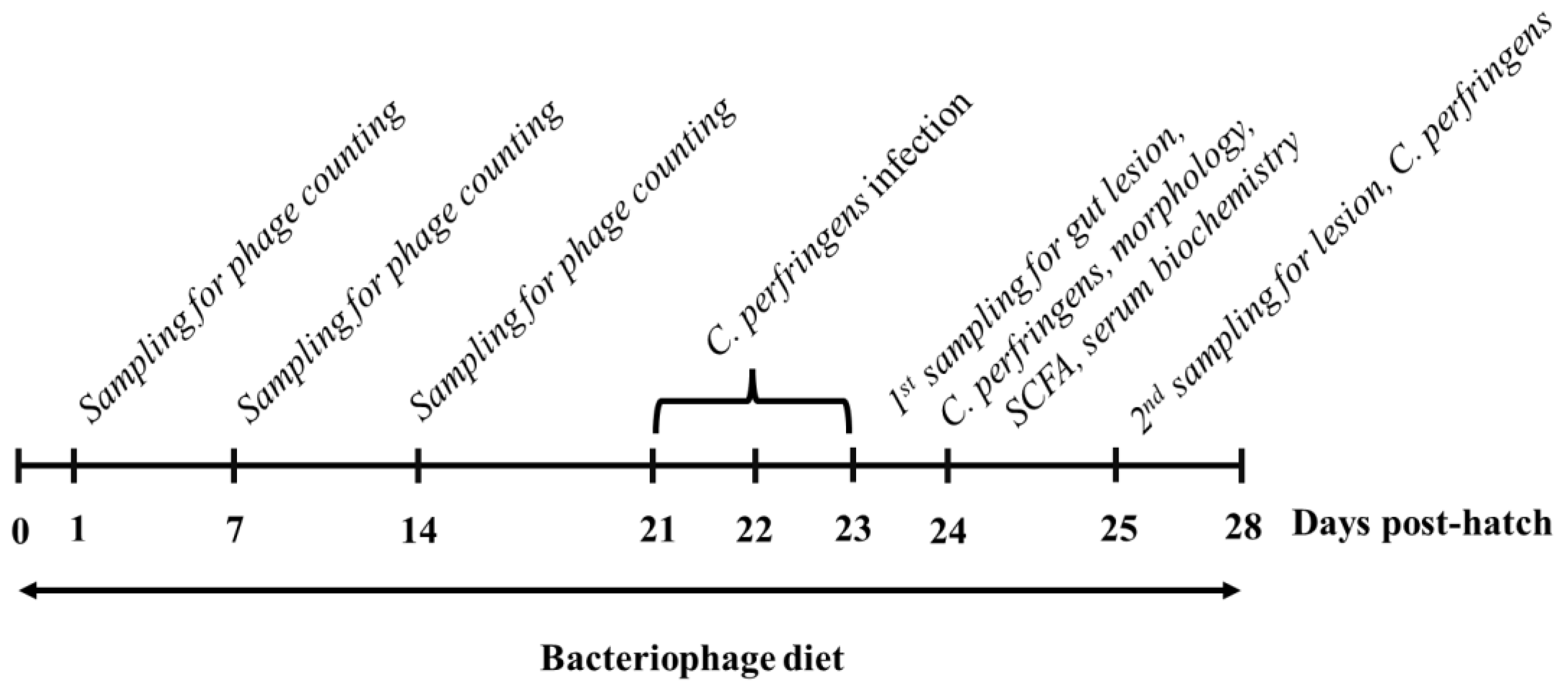 Vetsci 09 00119 g001