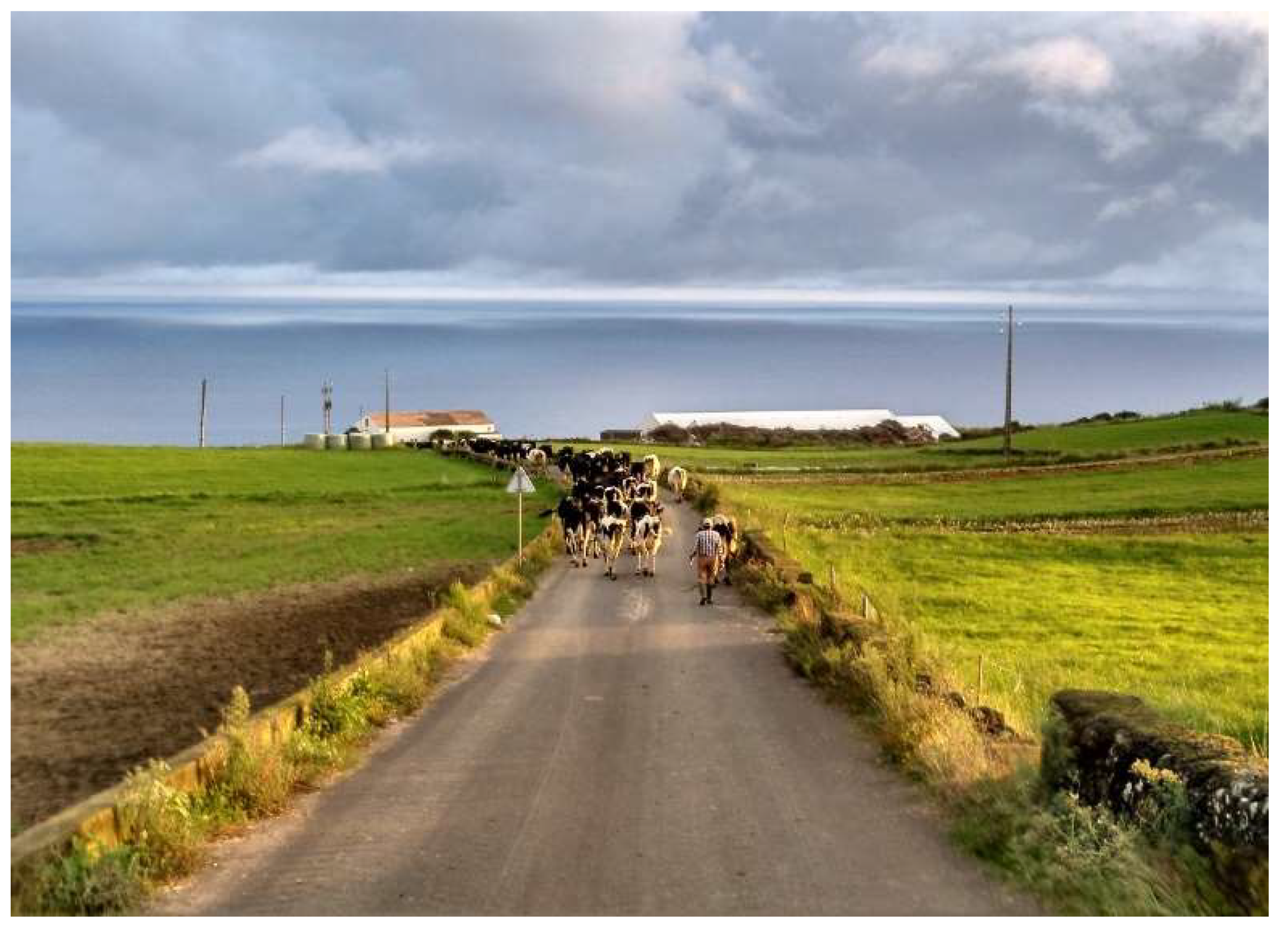 Vetsci 09 00125 g003