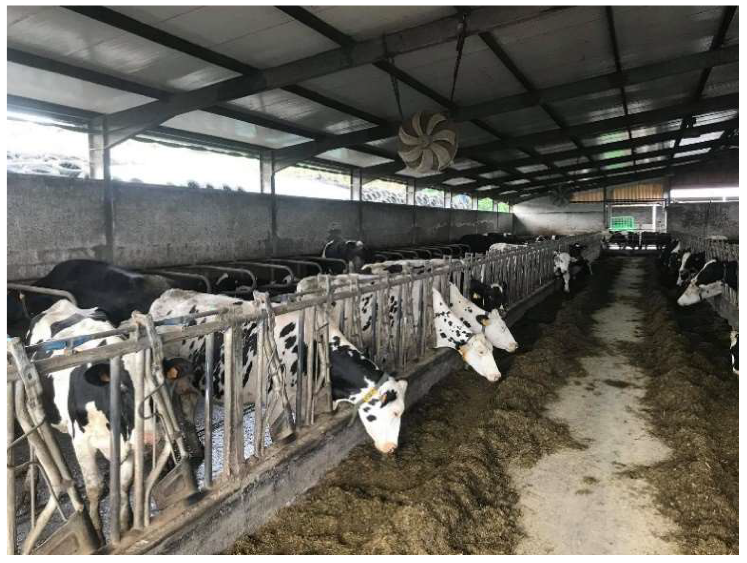 Vetsci 09 00125 g005