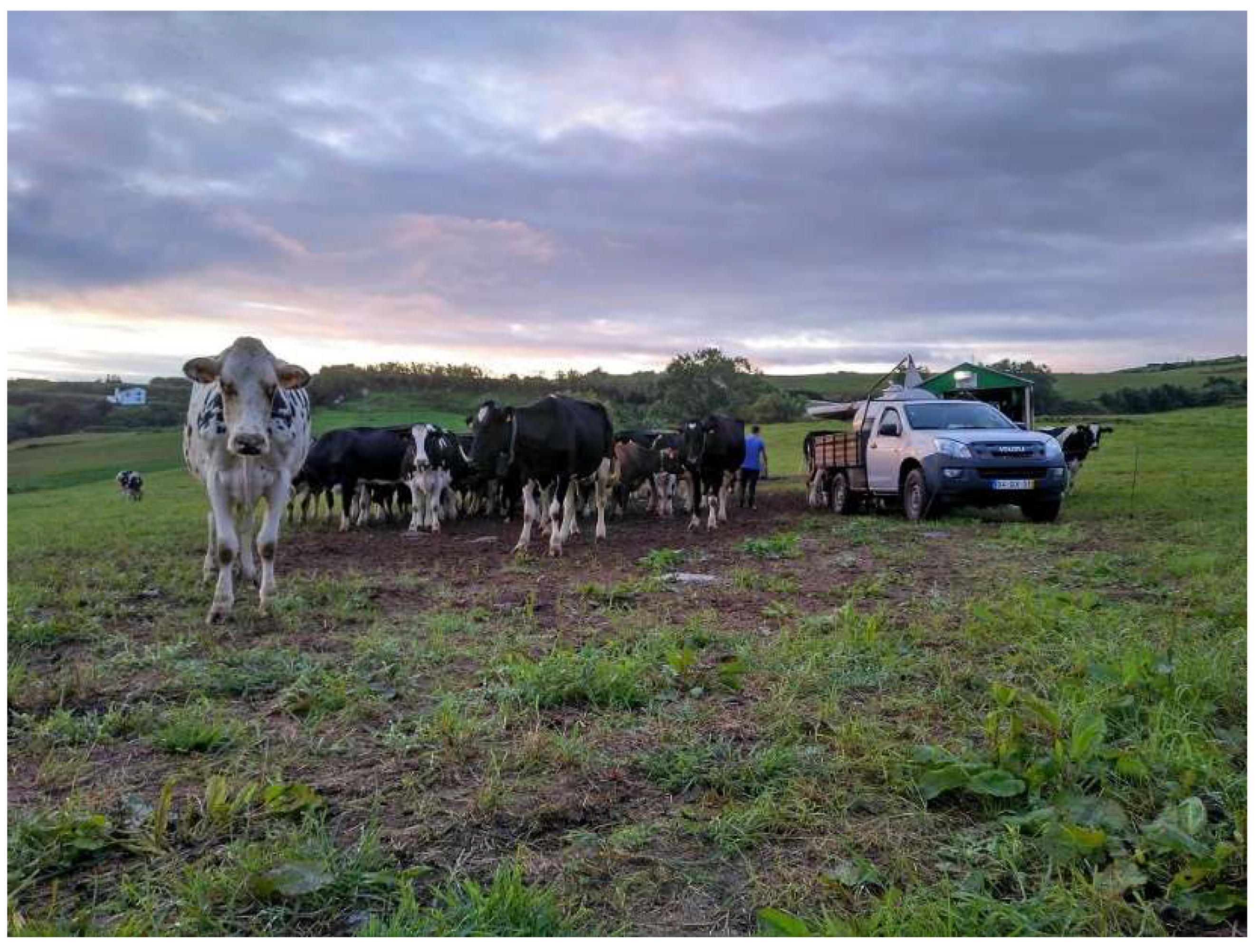 Vetsci 09 00125 g006