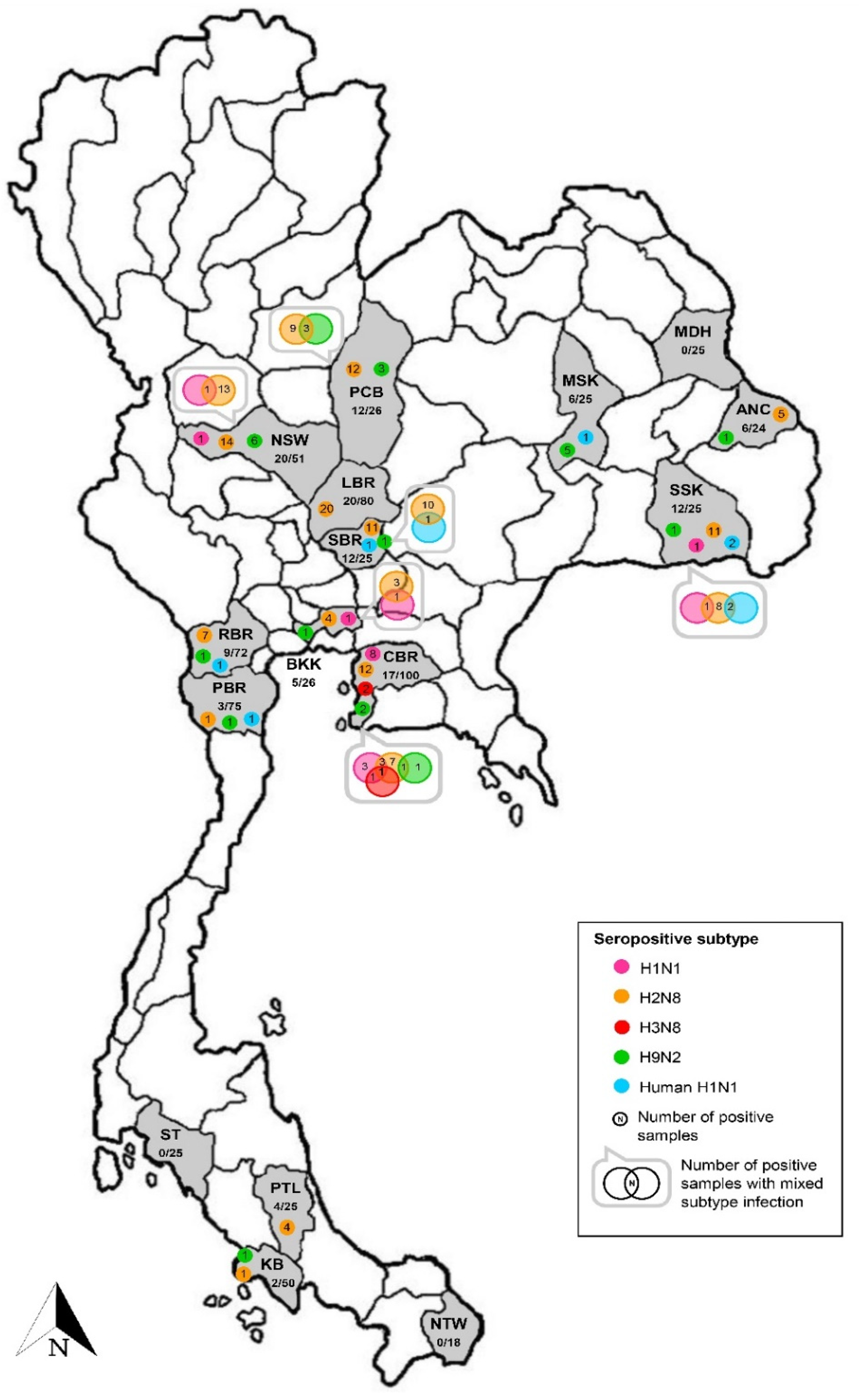 Vetsci 09 00132 g002