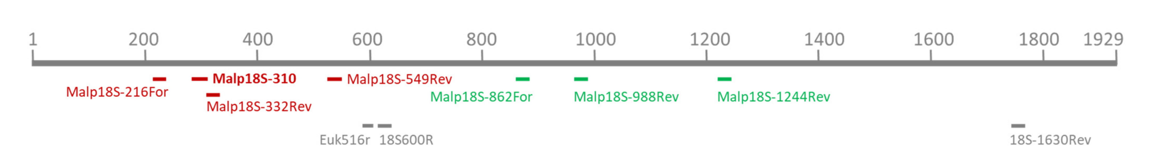 Vetsci 09 00148 g001