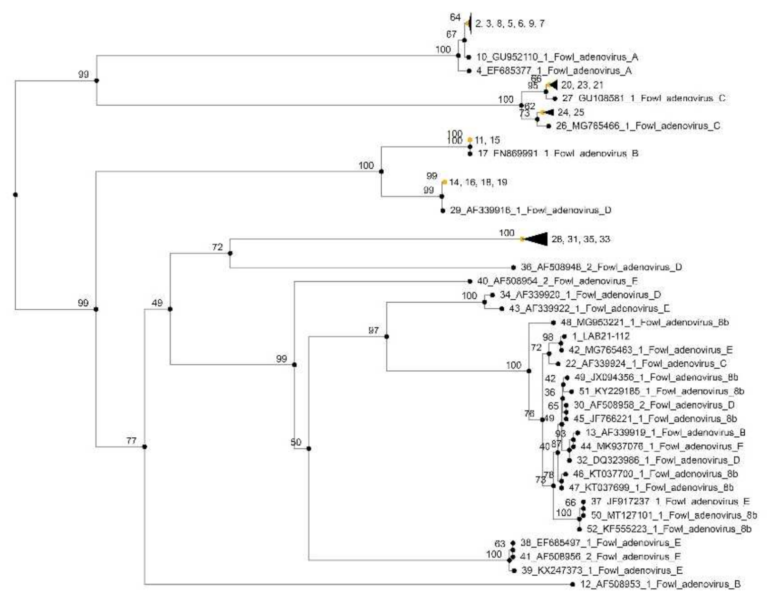 Vetsci 09 00160 g010