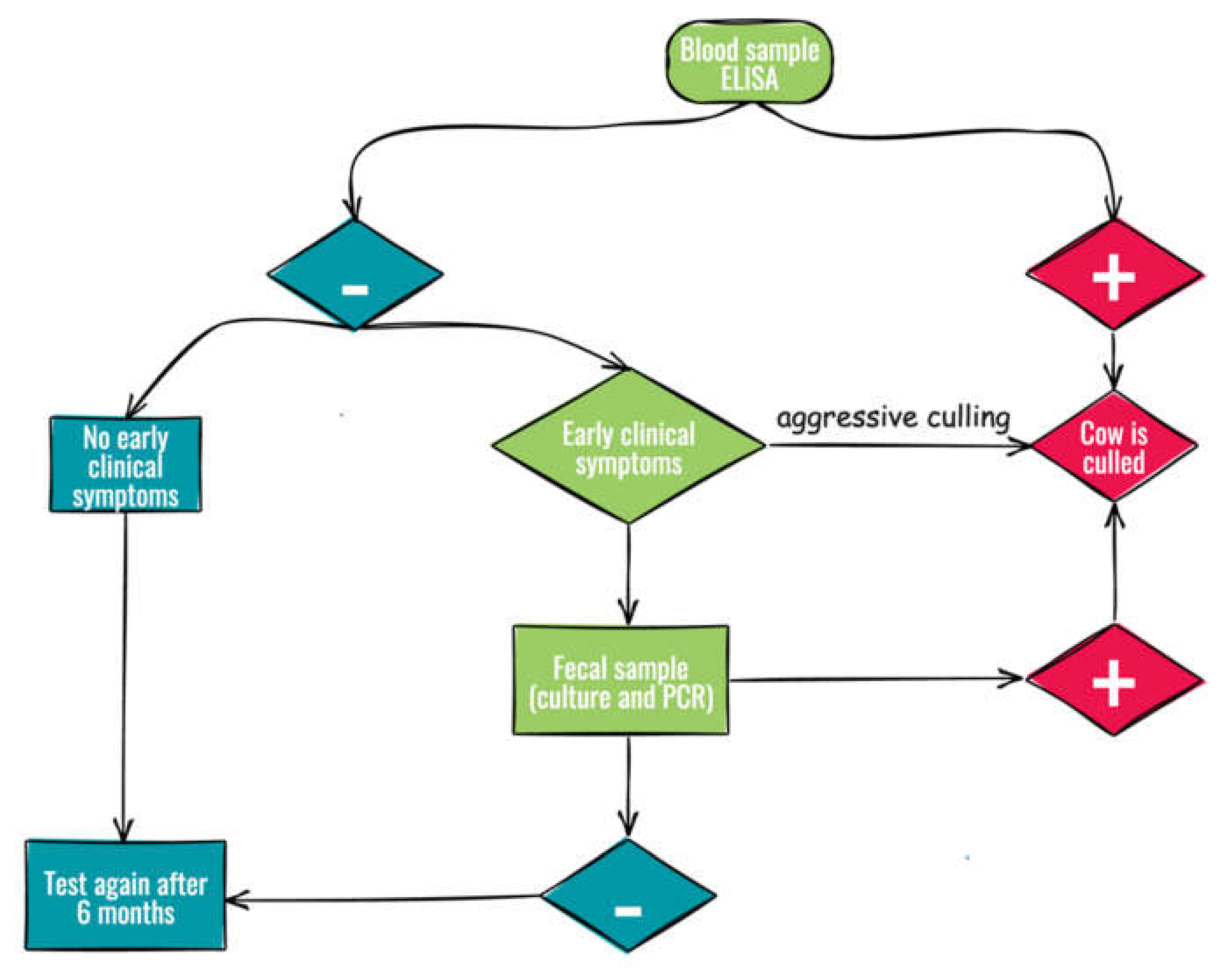 Vetsci 09 00162 g001