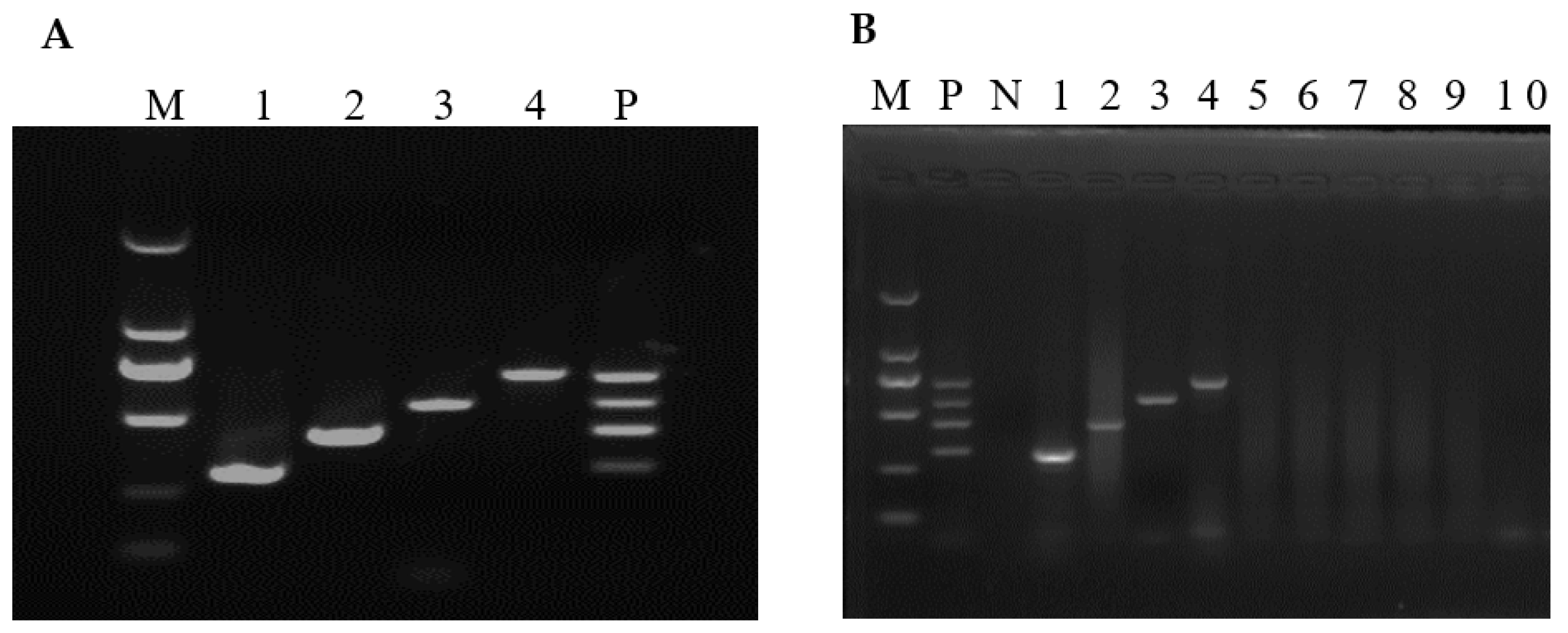 Vetsci 09 00176 g001 Vetsci 09 00176 g001