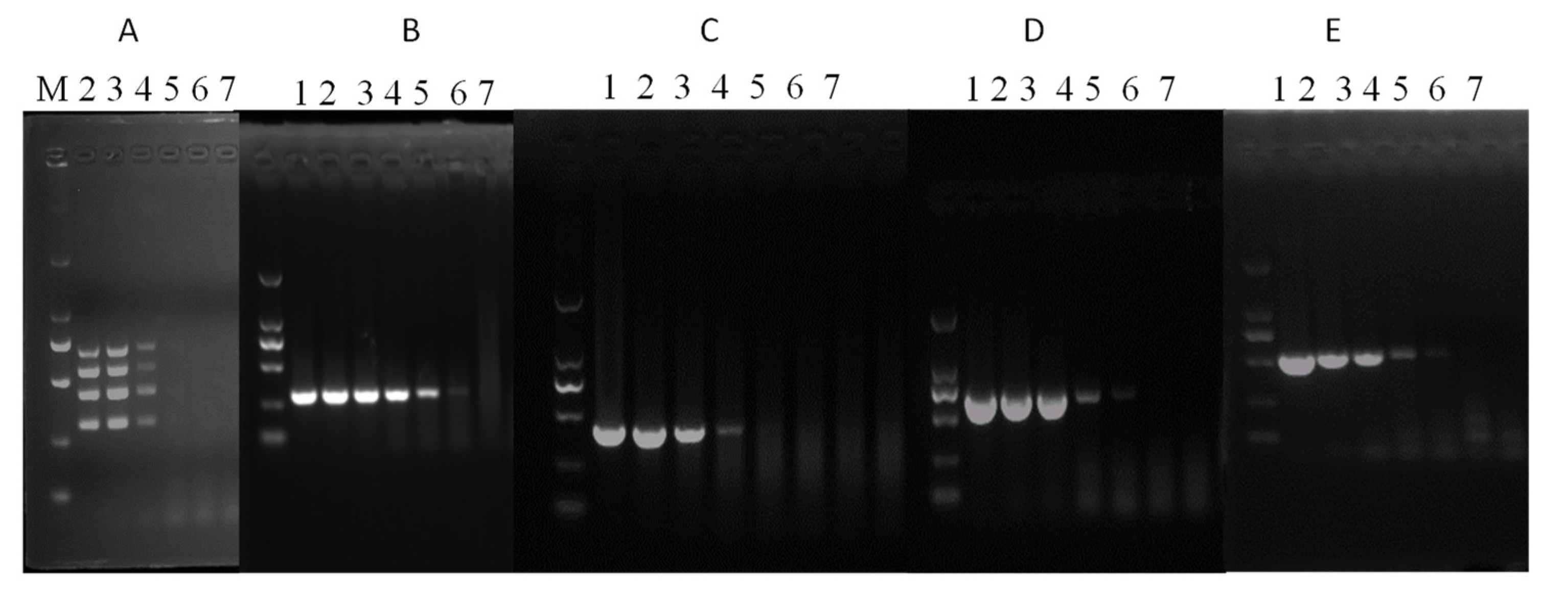 Vetsci 09 00176 g002 Vetsci 09 00176 g002