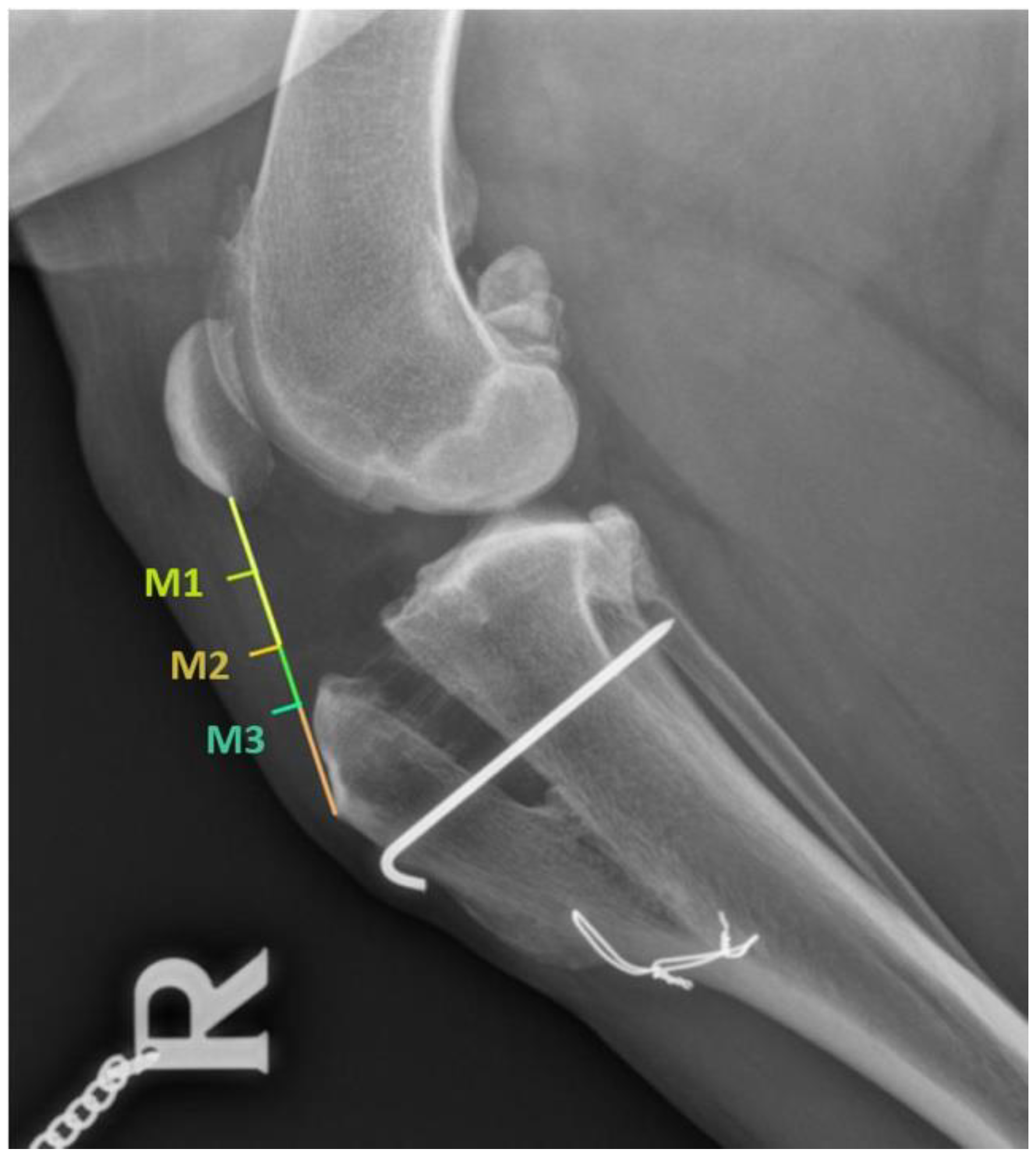 Vetsci 09 00180 g001
