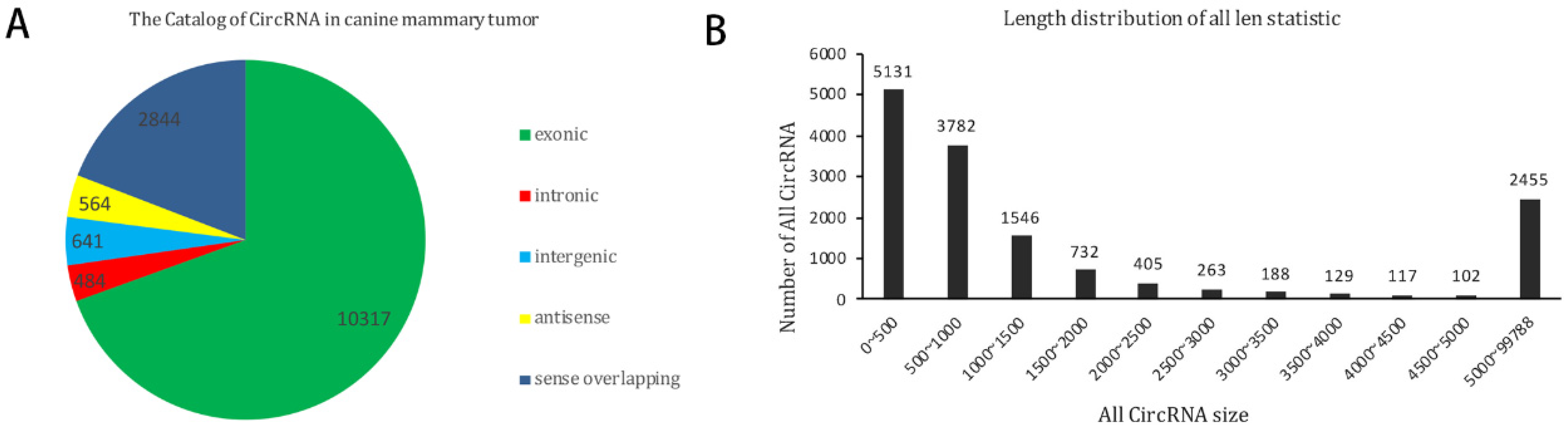 Vetsci 09 00205 g001