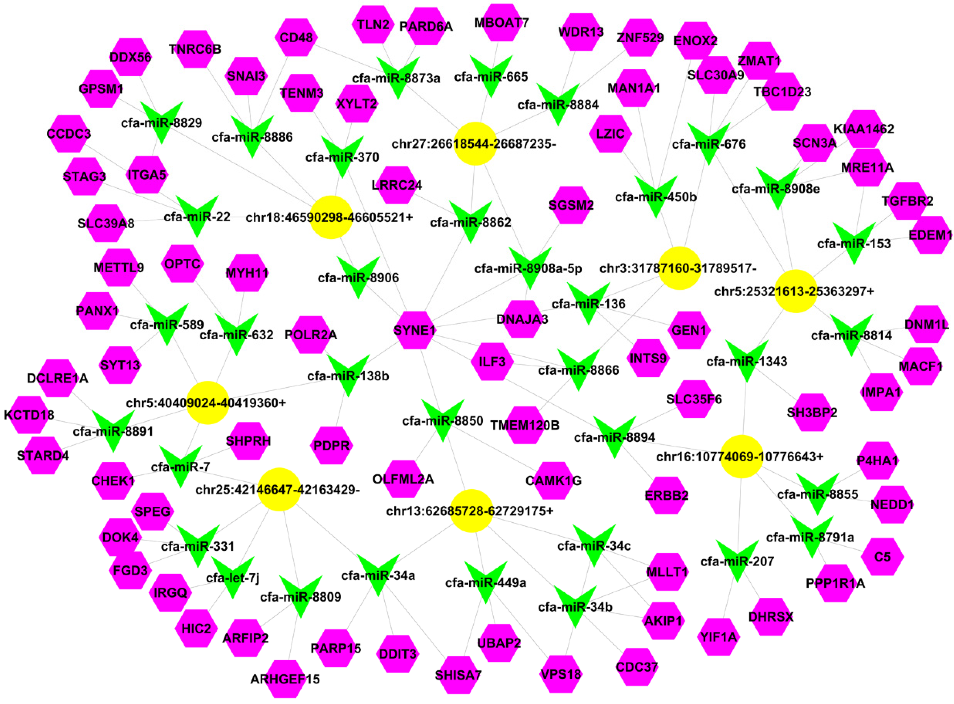 Vetsci 09 00205 g005