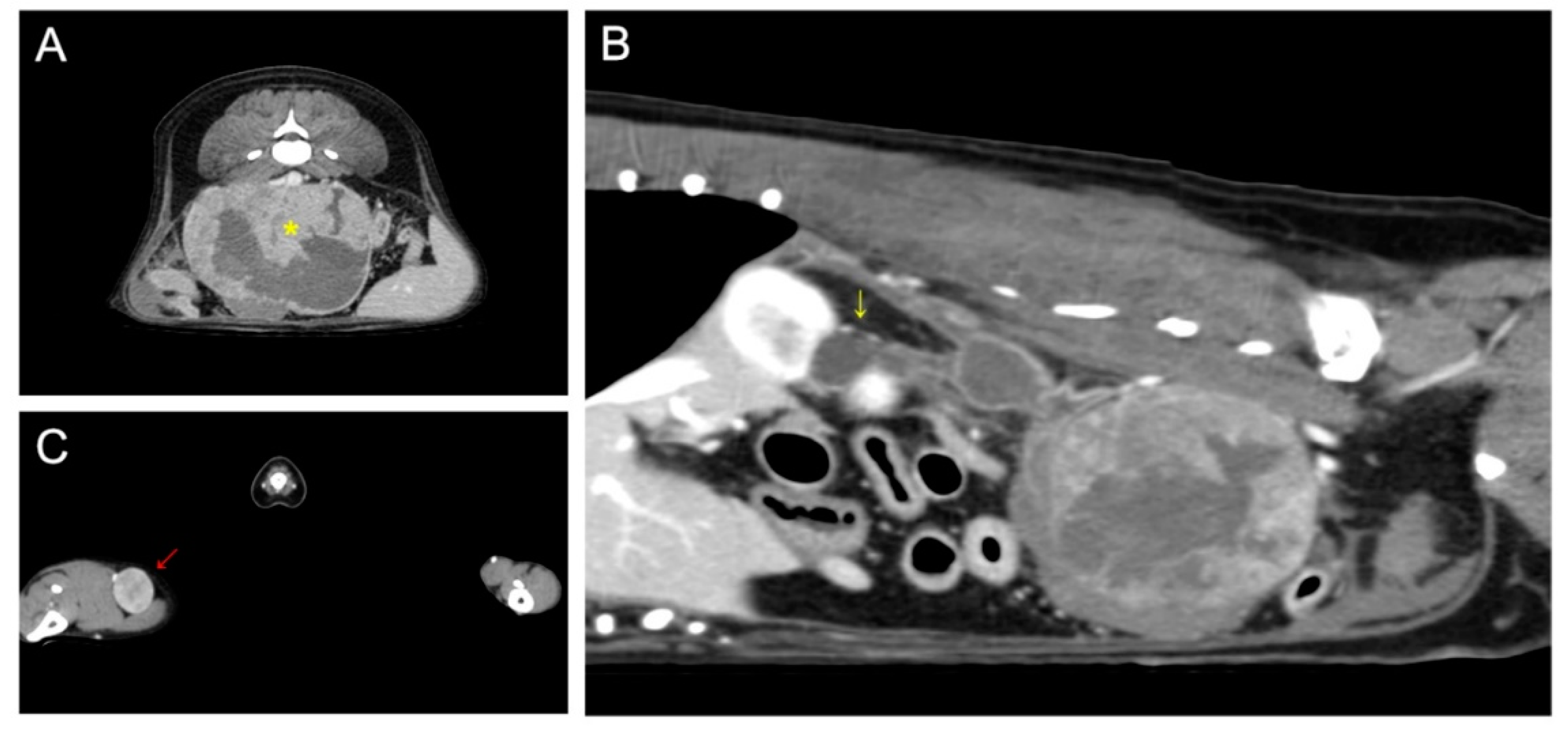 Vetsci 09 00234 g001