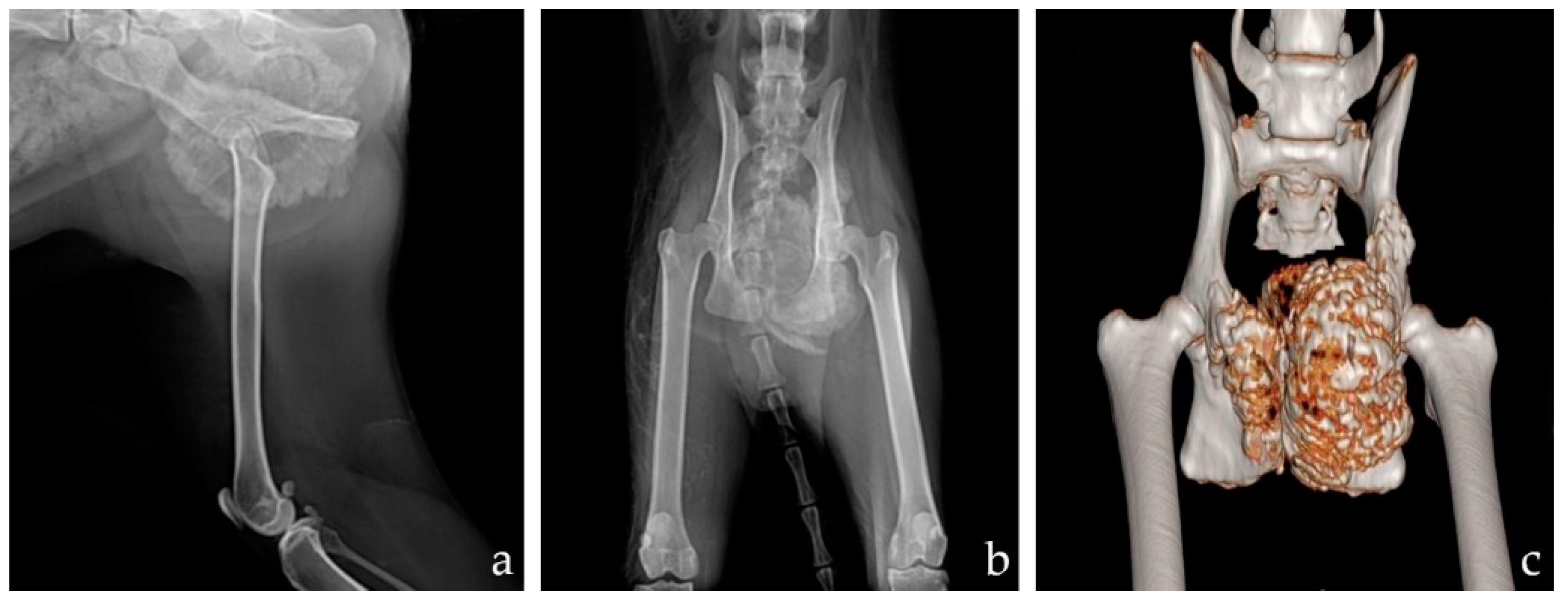 Vetsci 09 00237 g001