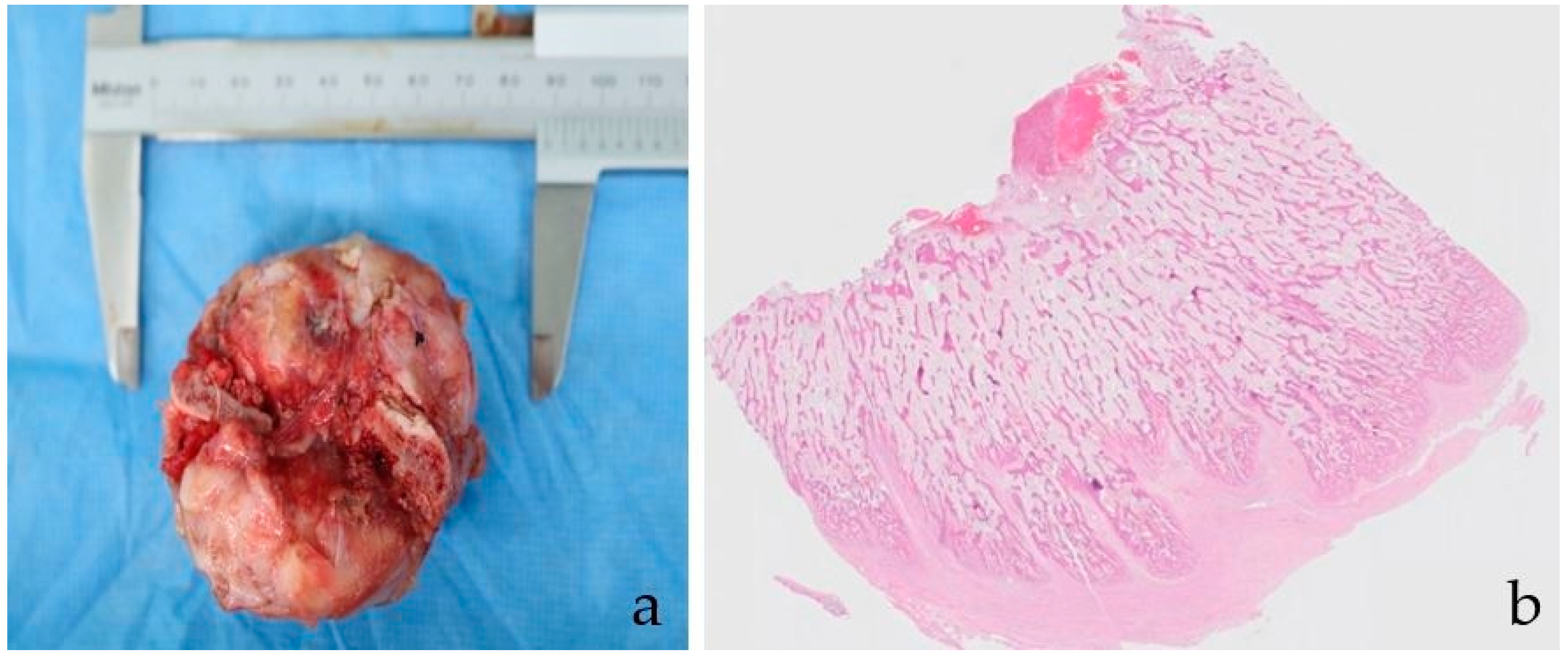 Vetsci 09 00237 g003