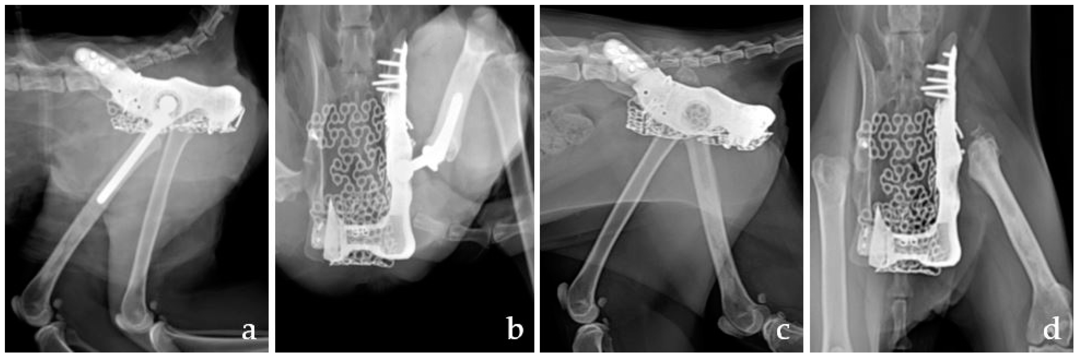 Vetsci 09 00237 g004