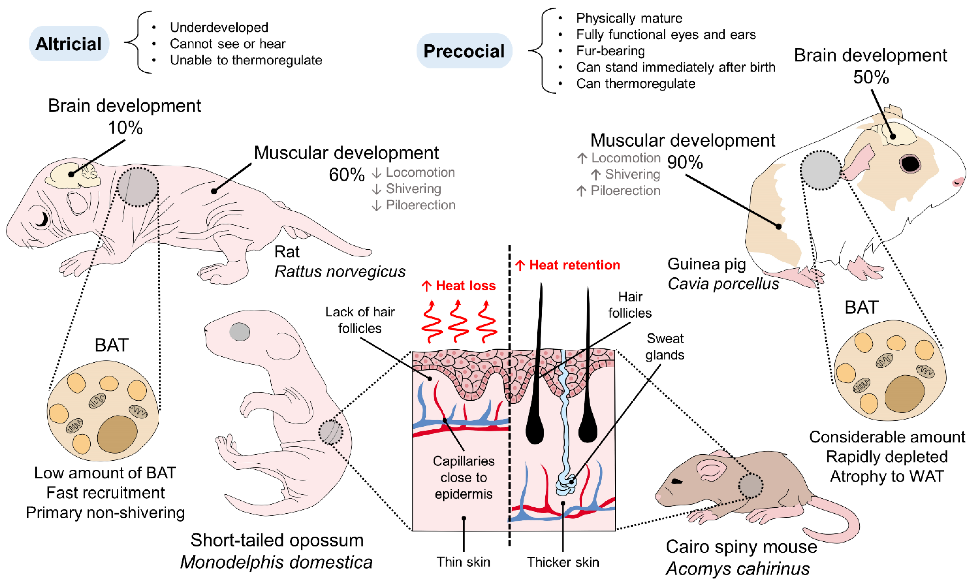 Vetsci 09 00246 g002 Vetsci 09 00246 g002
