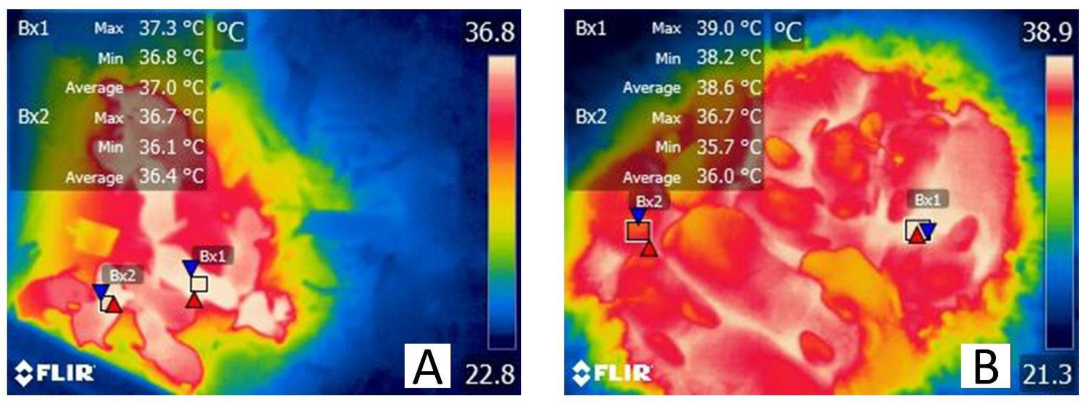 Vetsci 09 00246 g003 Vetsci 09 00246 g003
