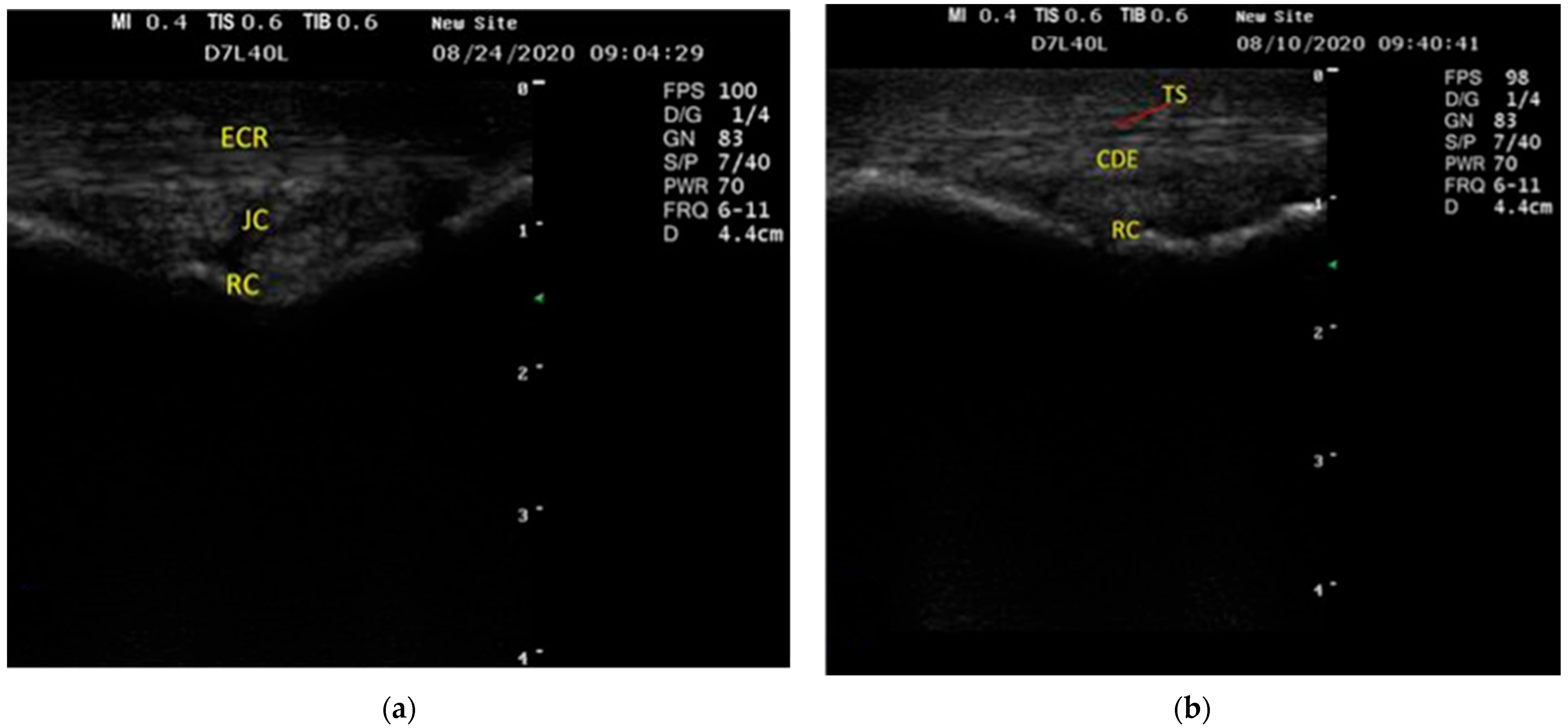 Vetsci 09 00249 g001 Vetsci 09 00249 g001
