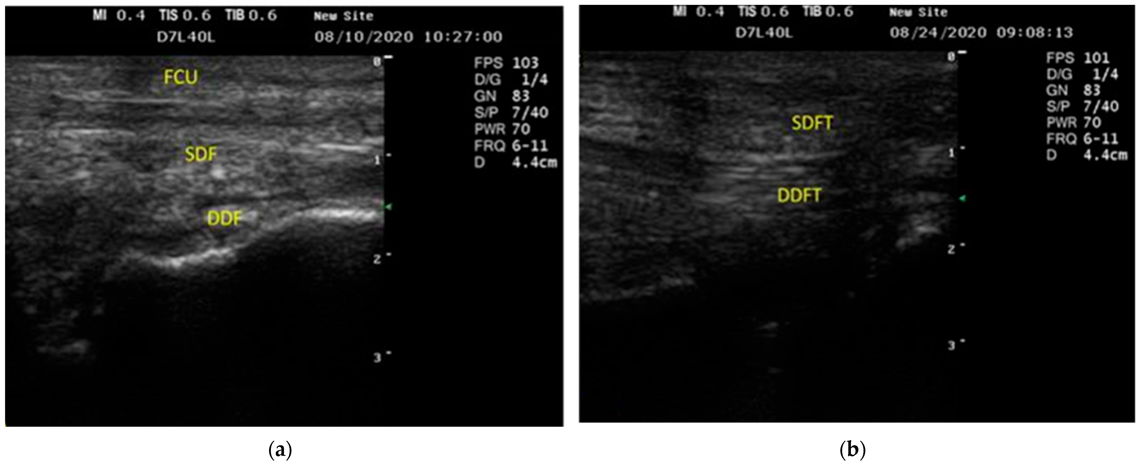 Vetsci 09 00249 g003 Vetsci 09 00249 g003