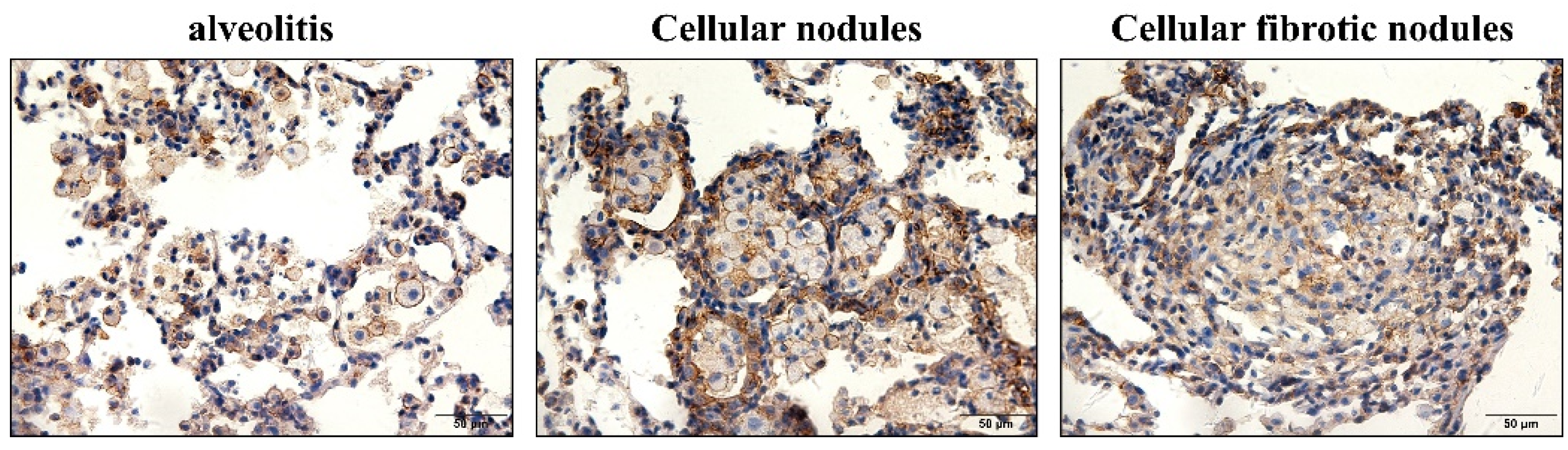 Vetsci 09 00251 g004