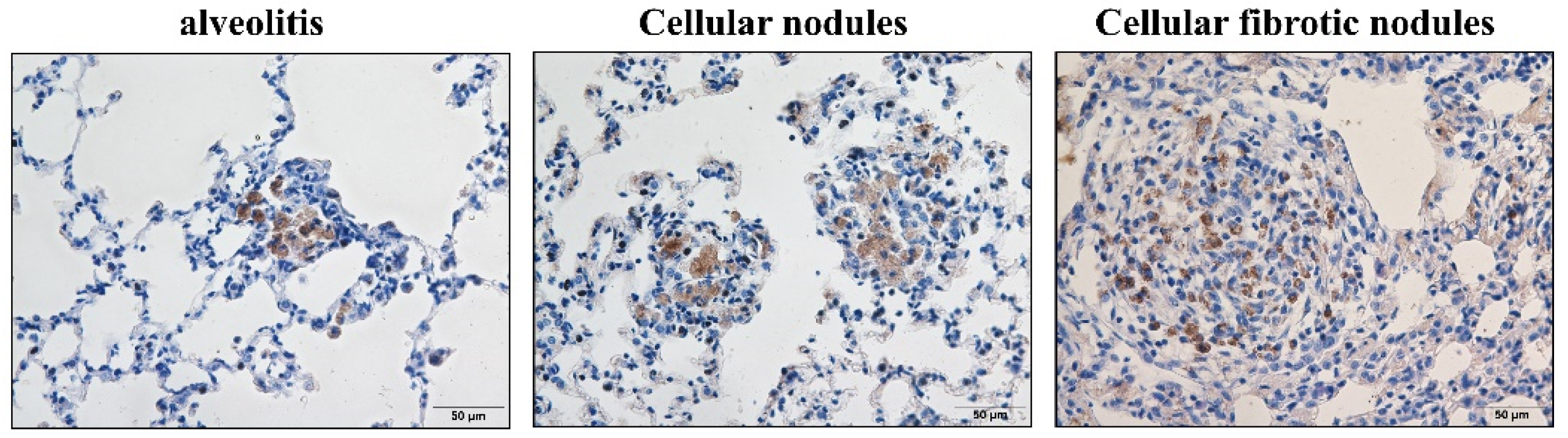Vetsci 09 00251 g005
