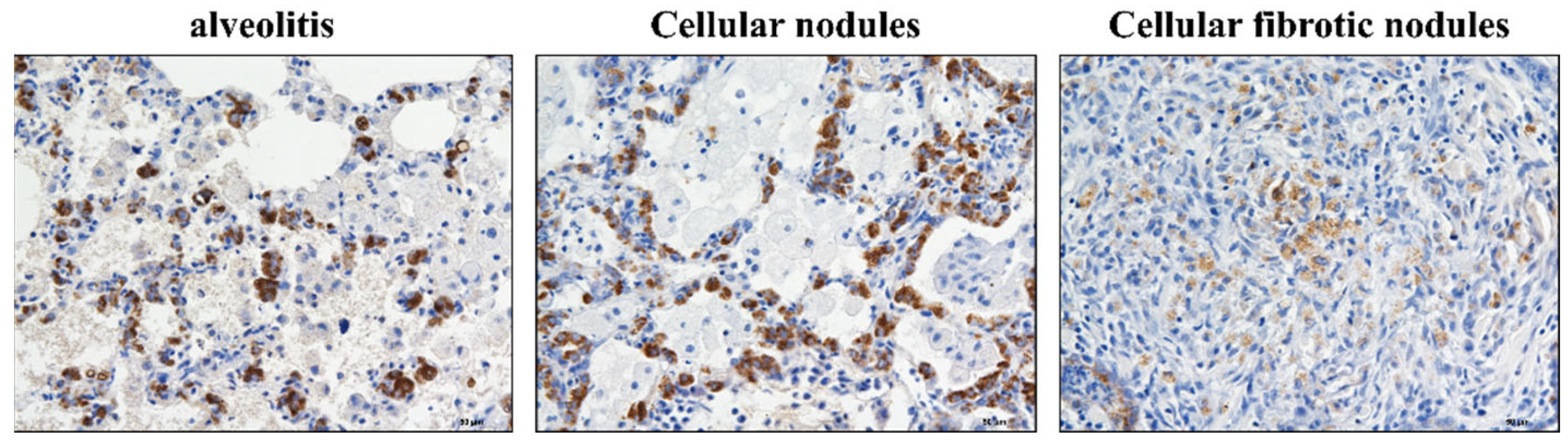 Vetsci 09 00251 g006