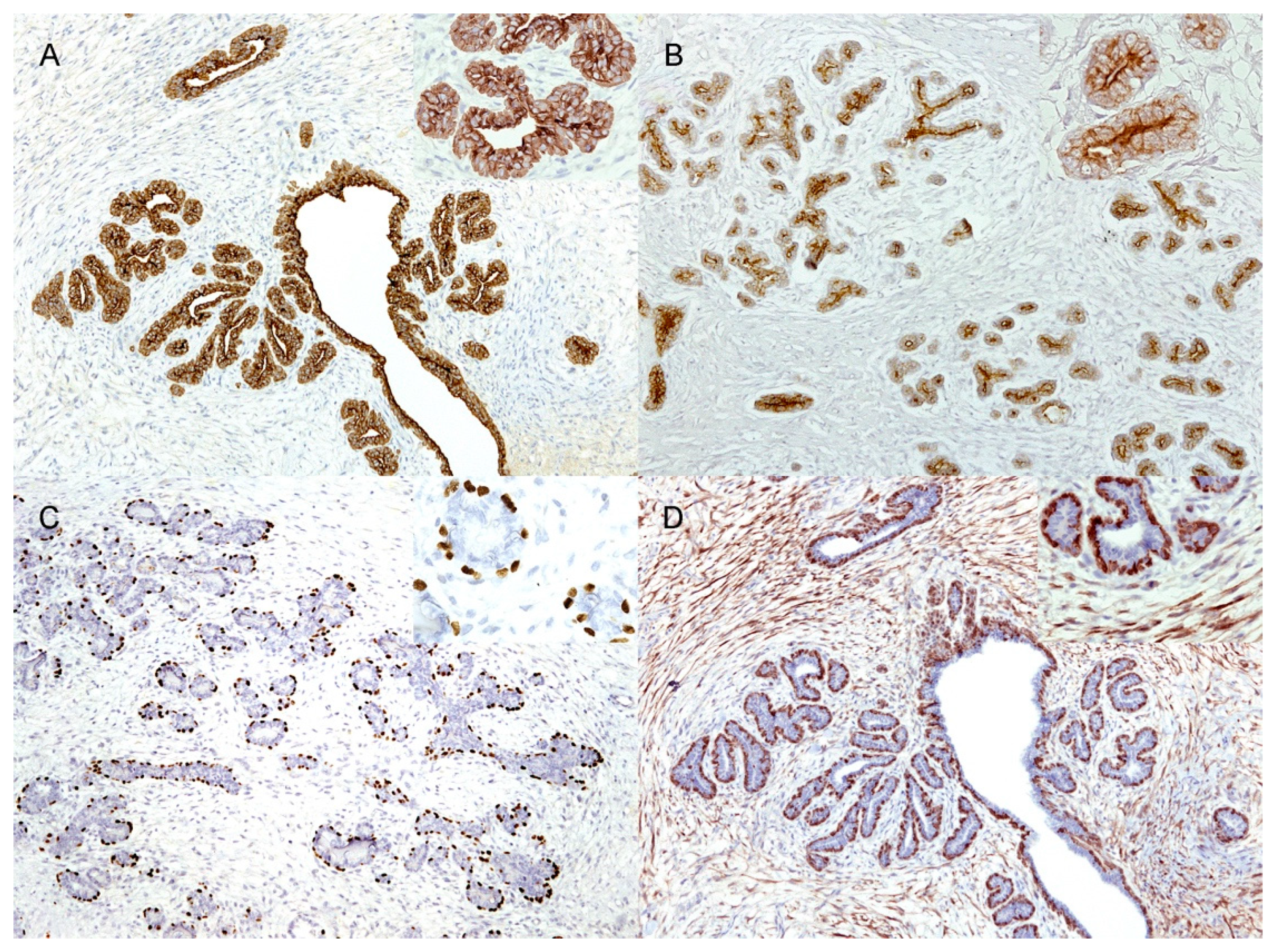 Vetsci 09 00253 g002