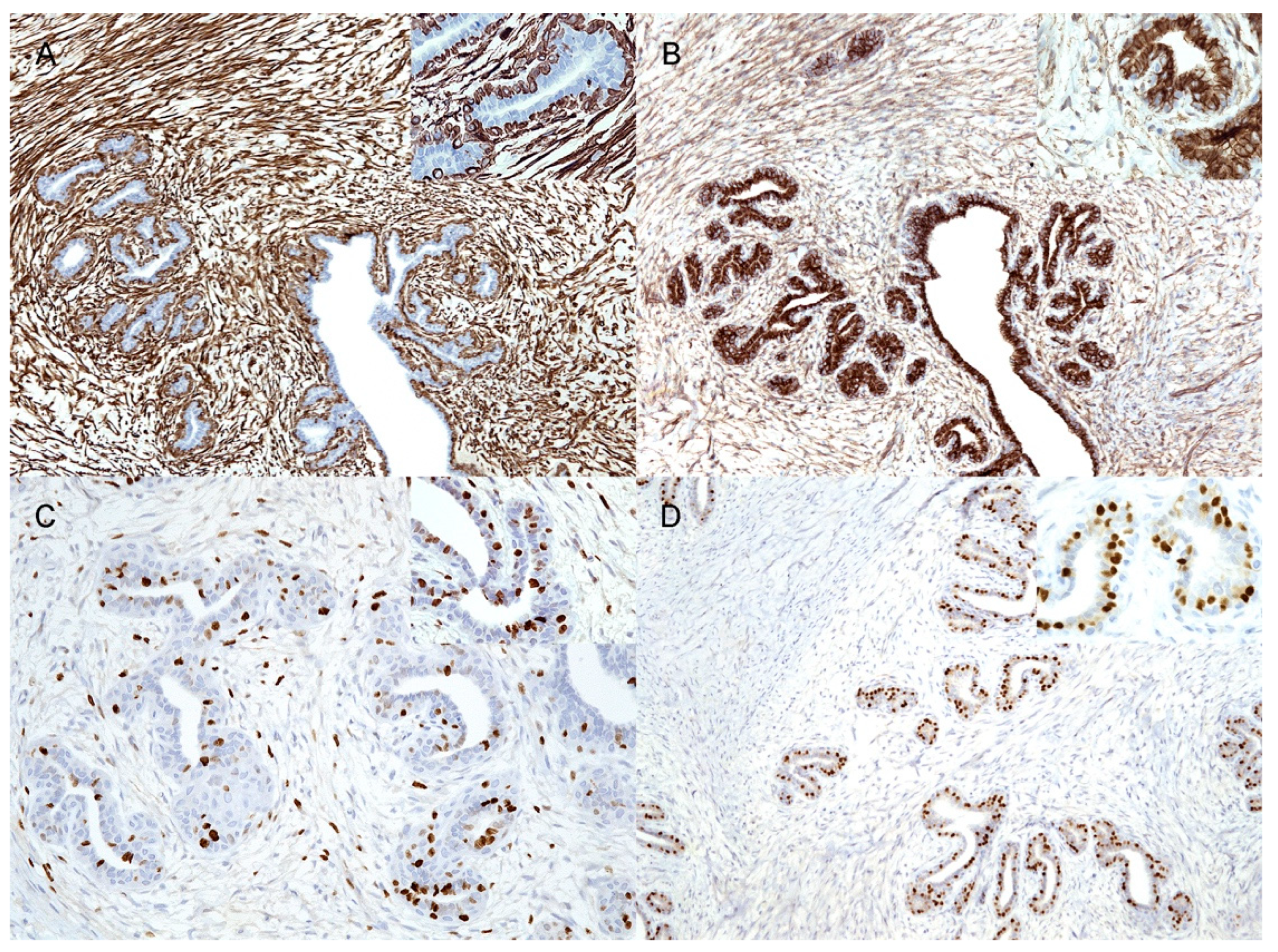 Vetsci 09 00253 g003