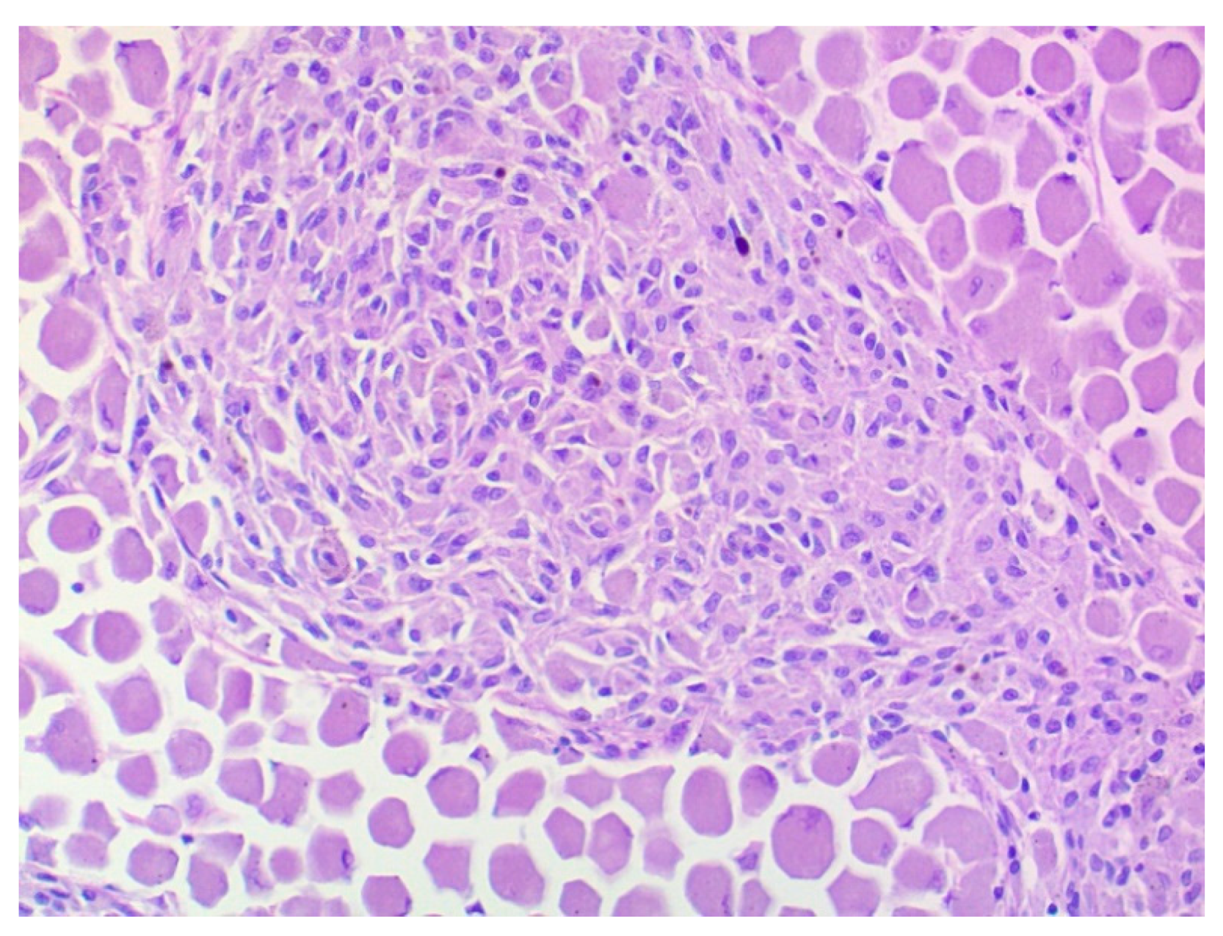 Vetsci 09 00267 g006