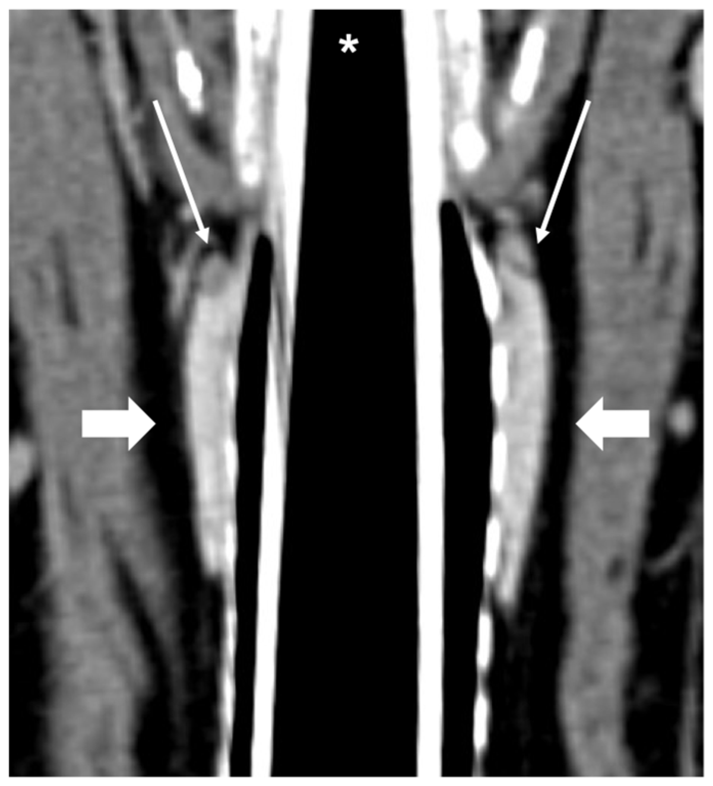 Vetsci 09 00273 g002