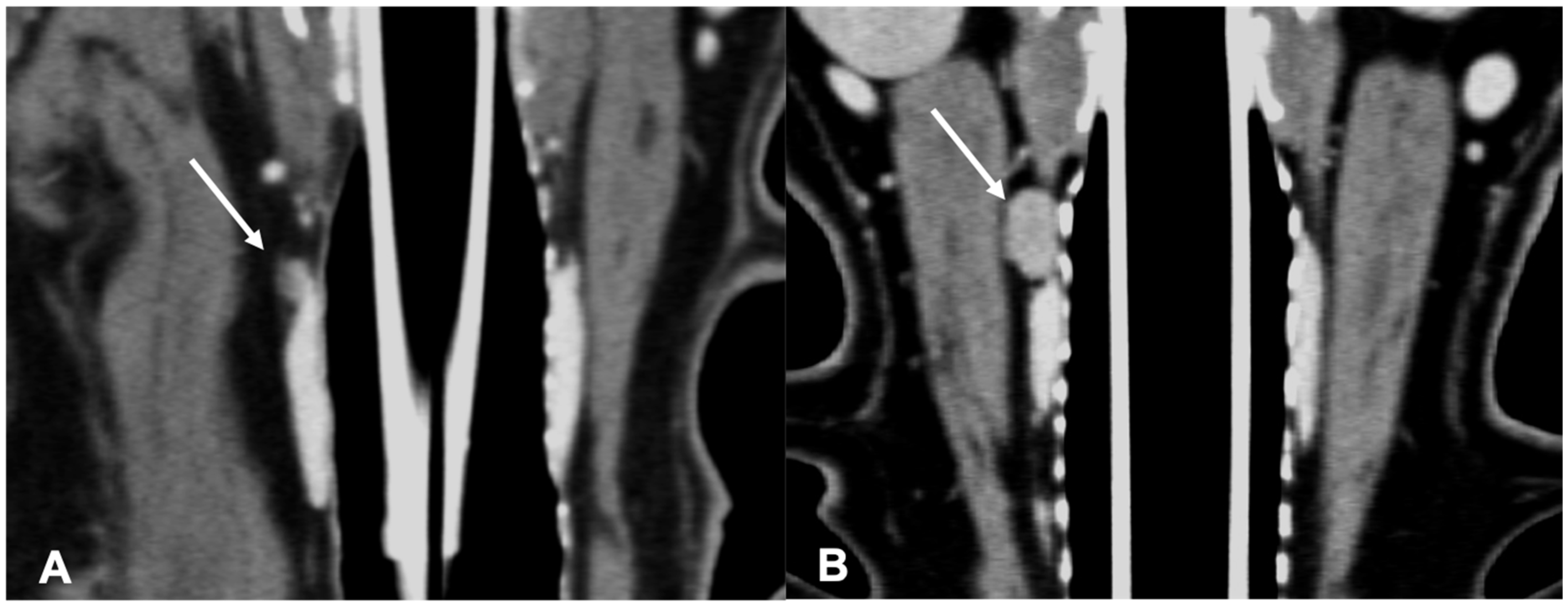 Vetsci 09 00273 g003