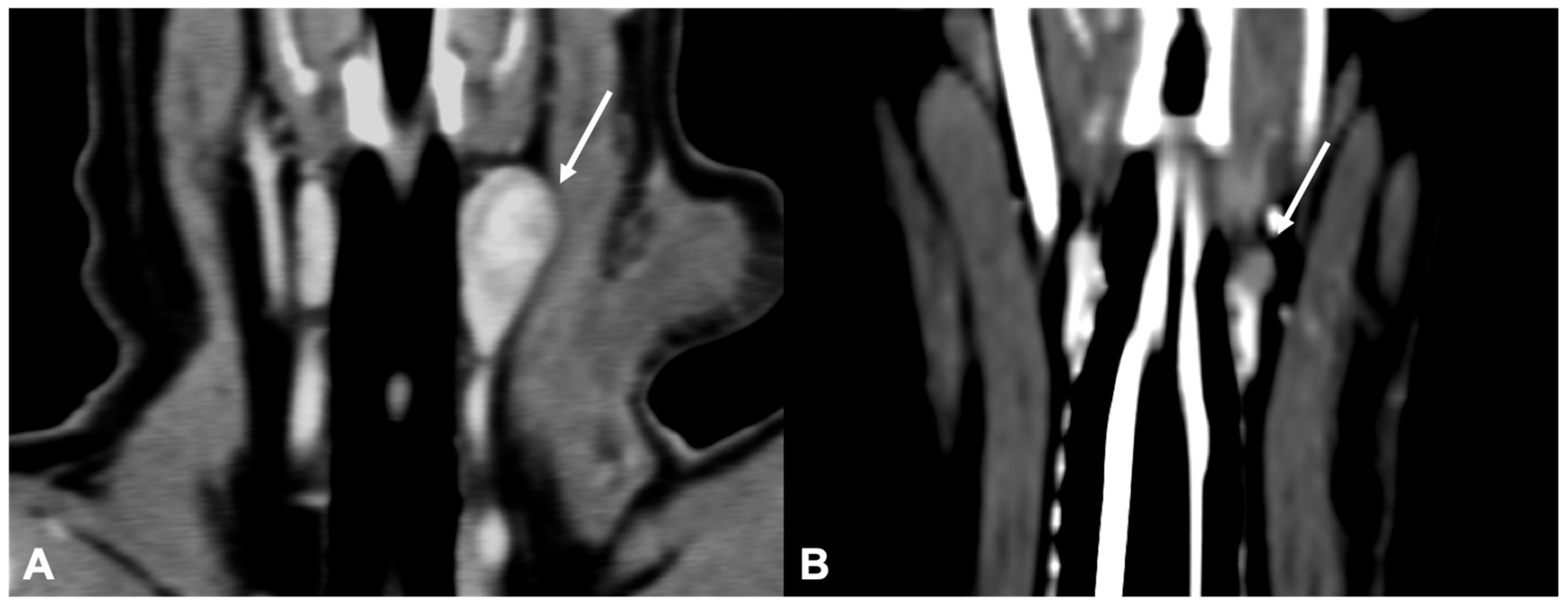 Vetsci 09 00273 g004