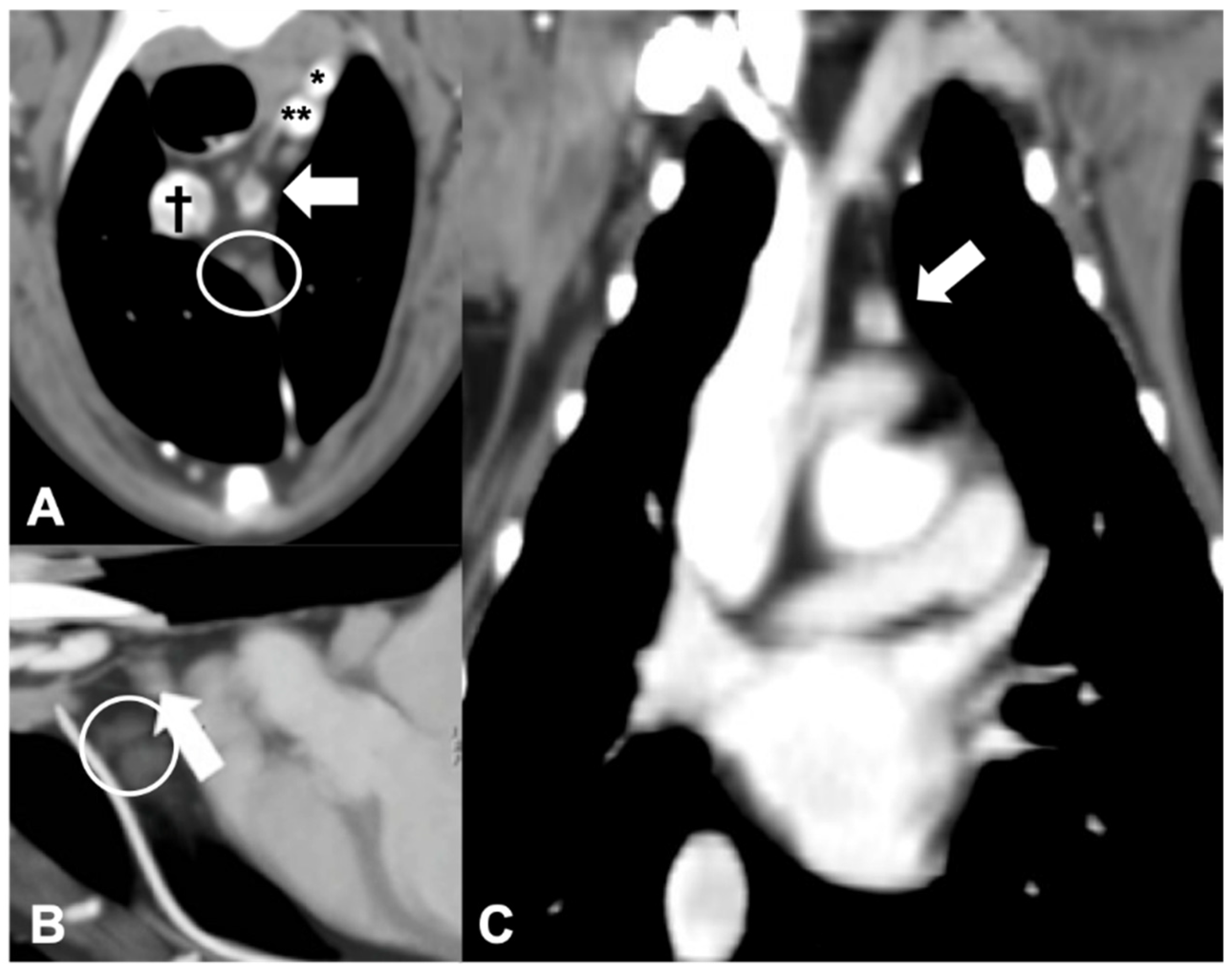 Vetsci 09 00273 g005