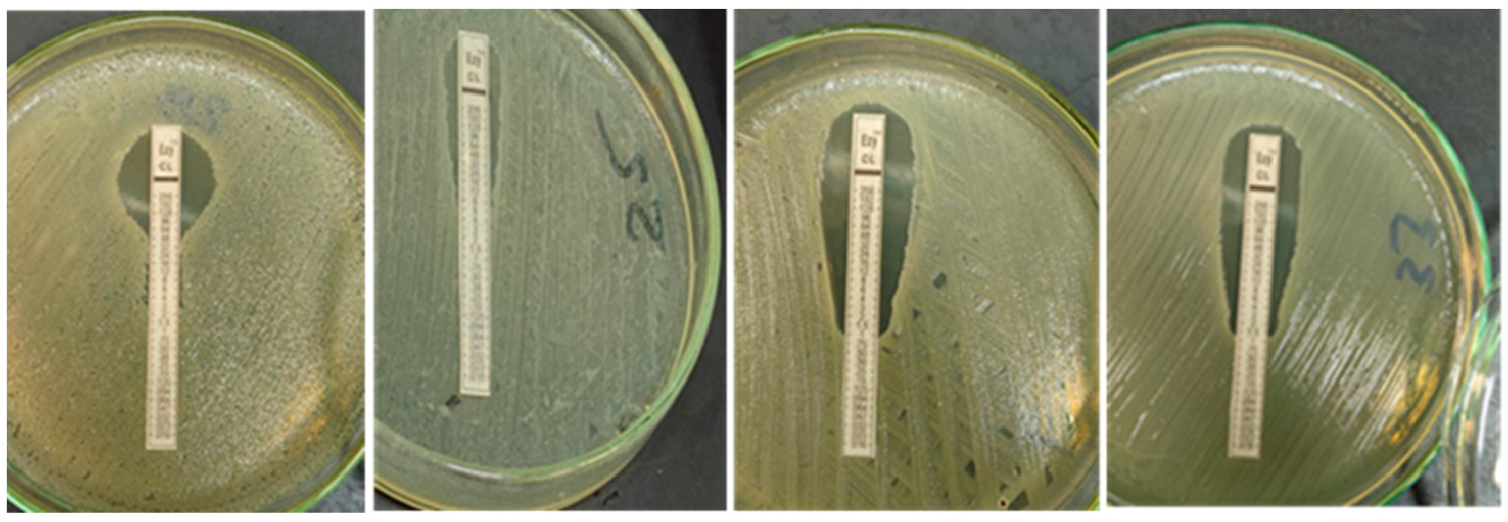 Vetsci 09 00282 g002 Vetsci 09 00282 g002