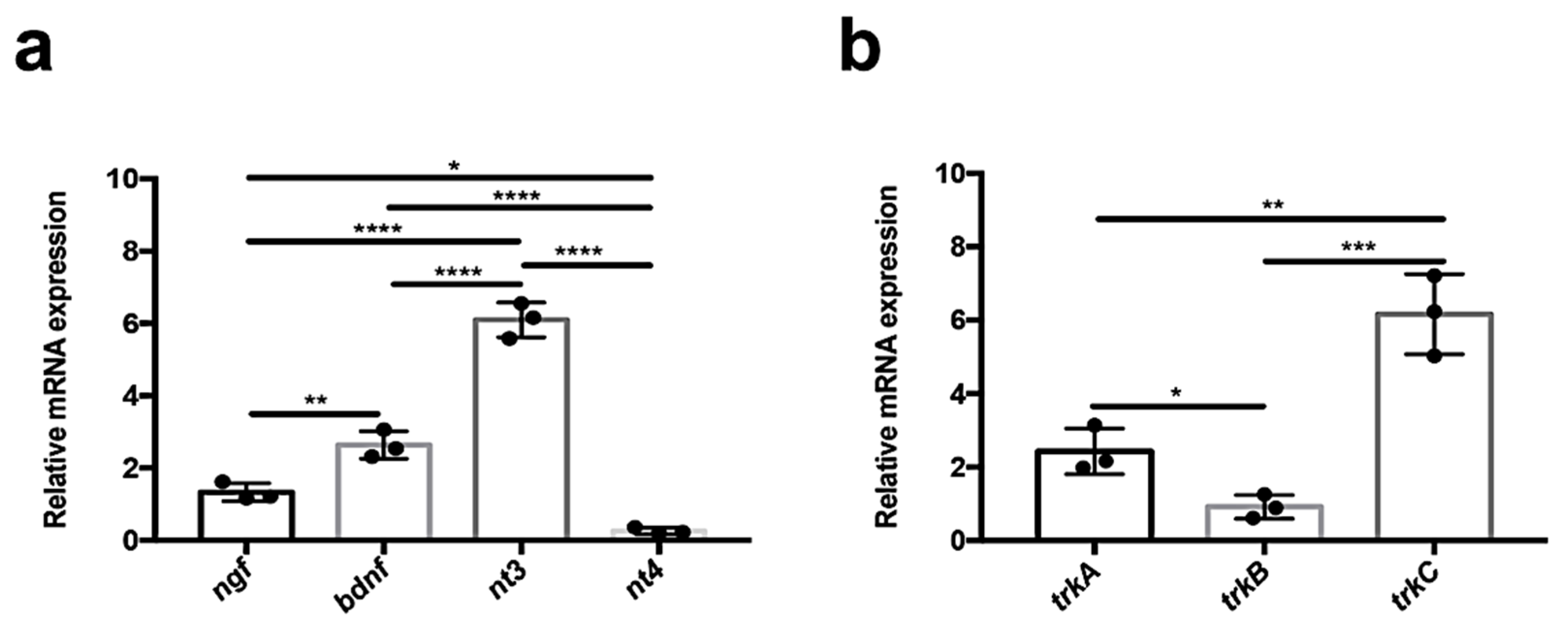 Vetsci 09 00296 g001