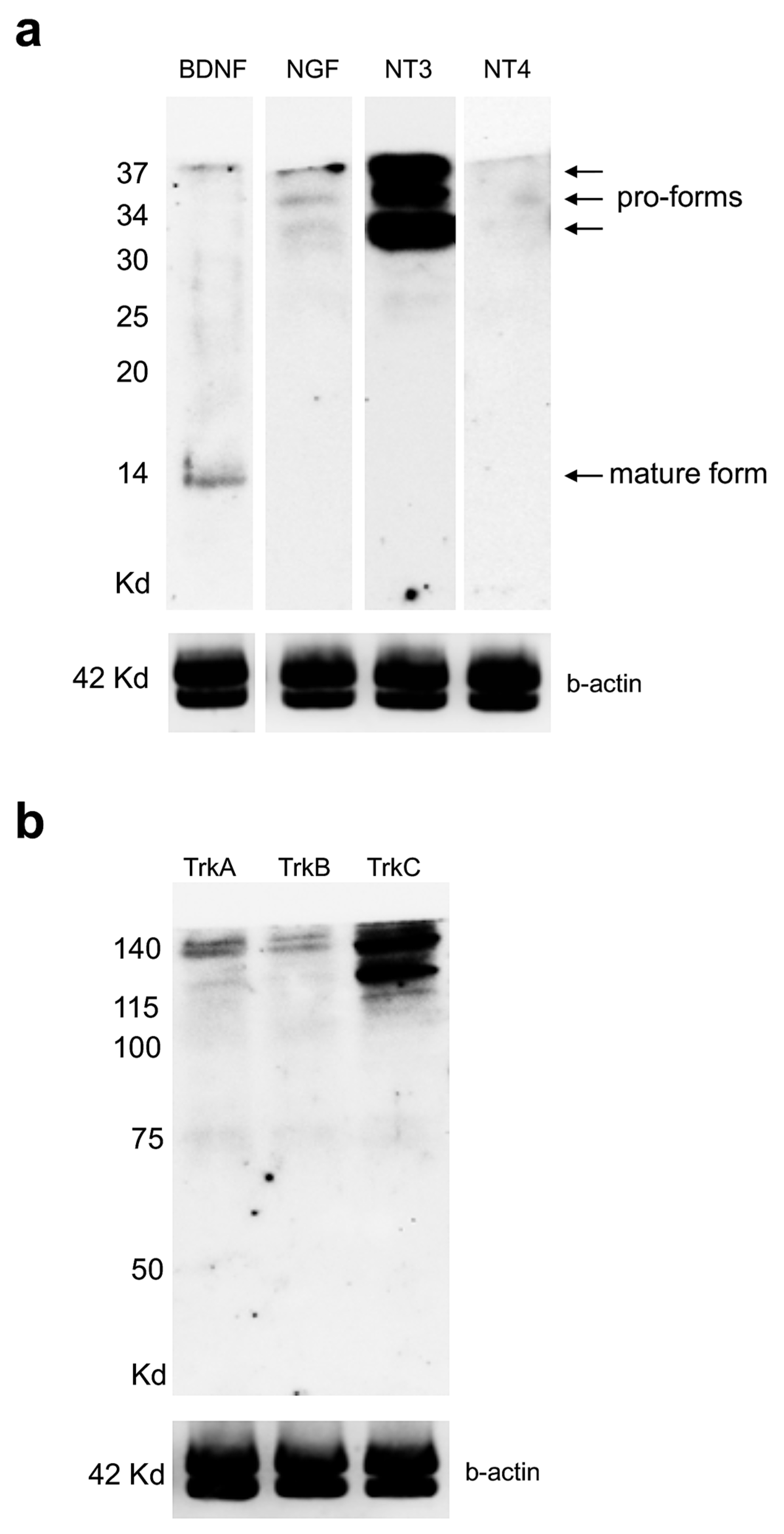 Vetsci 09 00296 g005