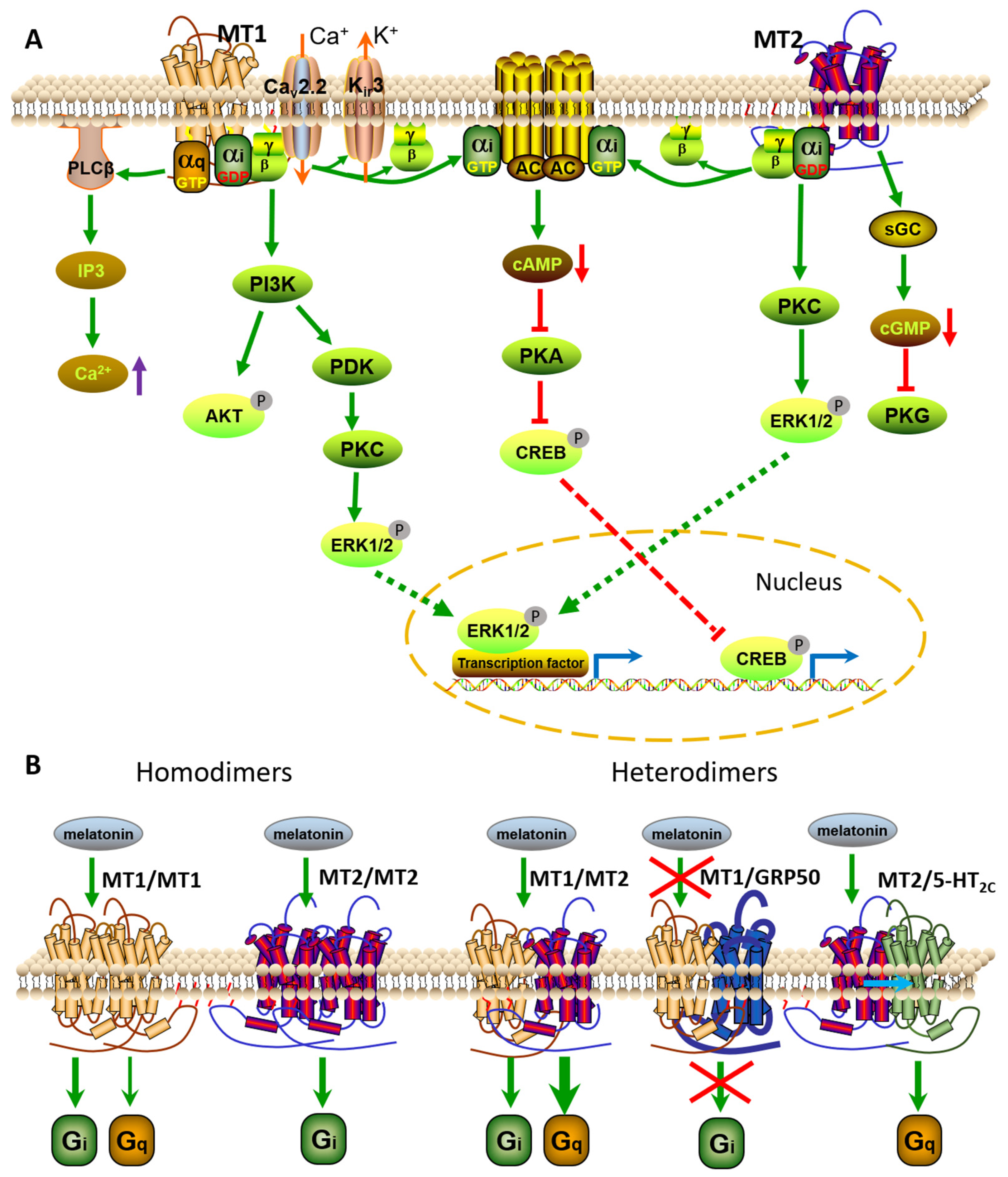 Vetsci 09 00309 g002