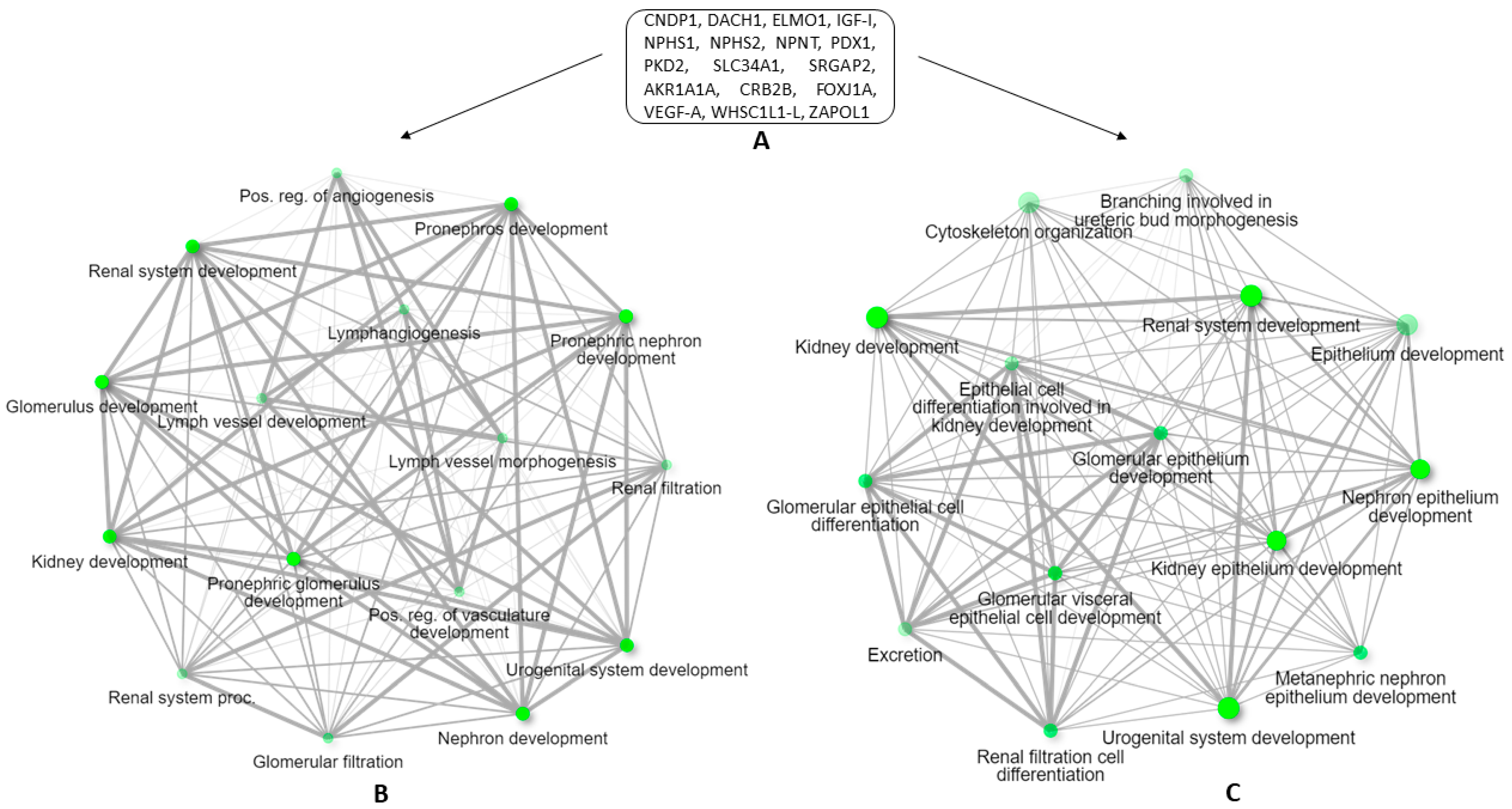 Vetsci 09 00312 g002