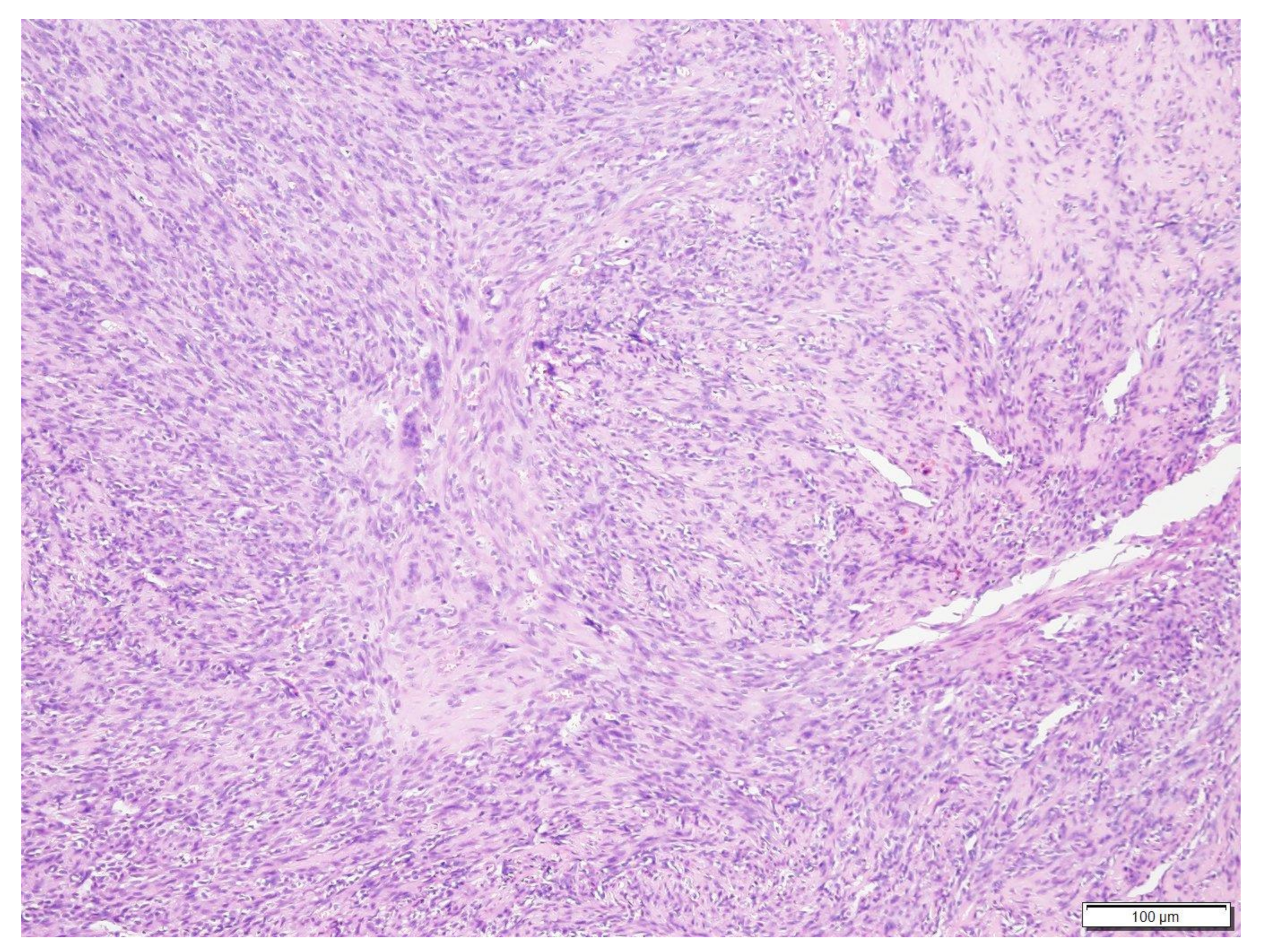 Vetsci 09 00315 g006 Vetsci 09 00315 g006
