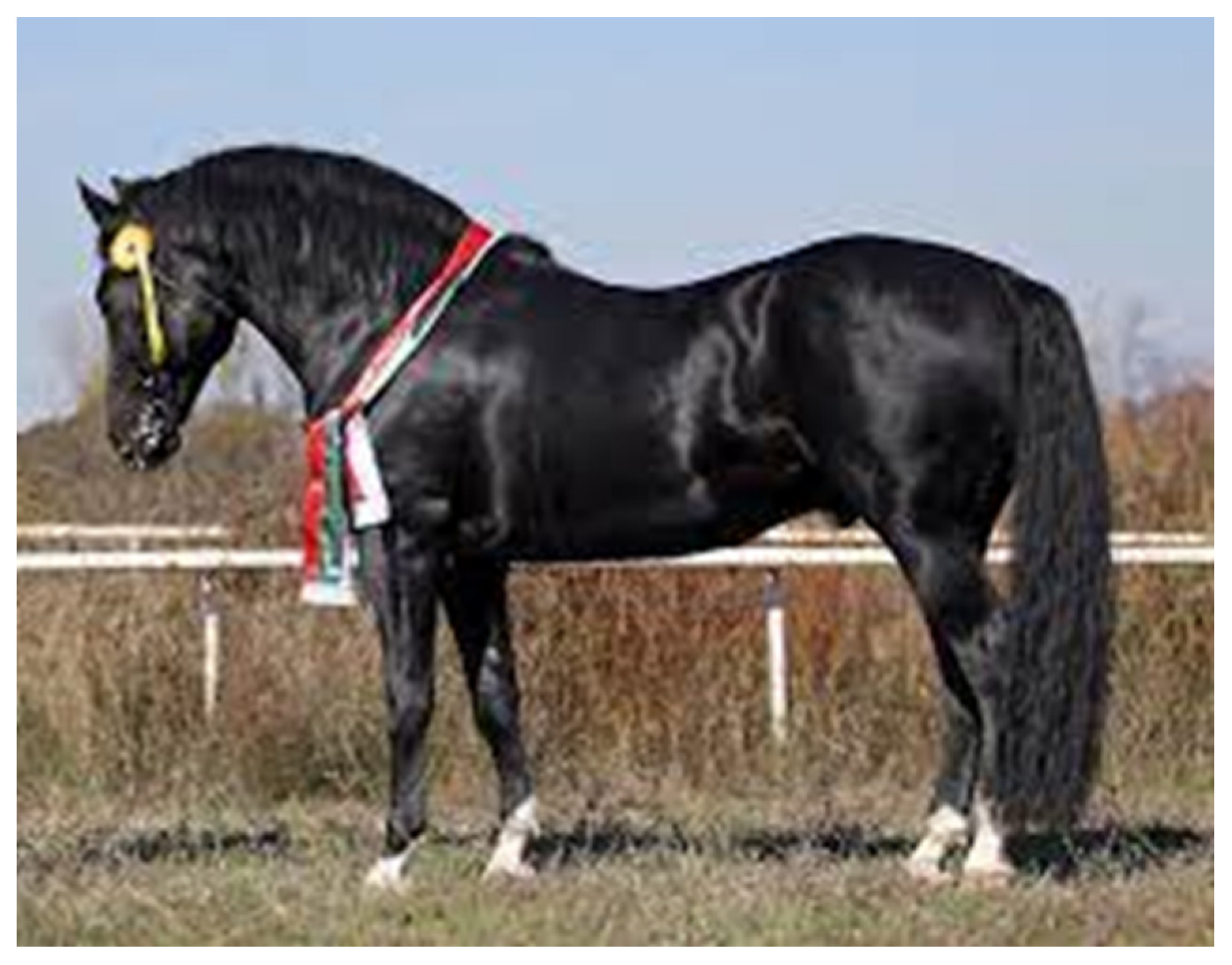 Vetsci 09 00333 g001